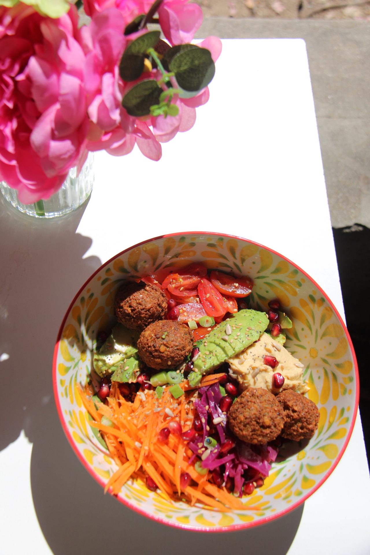 L'Alycastre - L'Alycastre