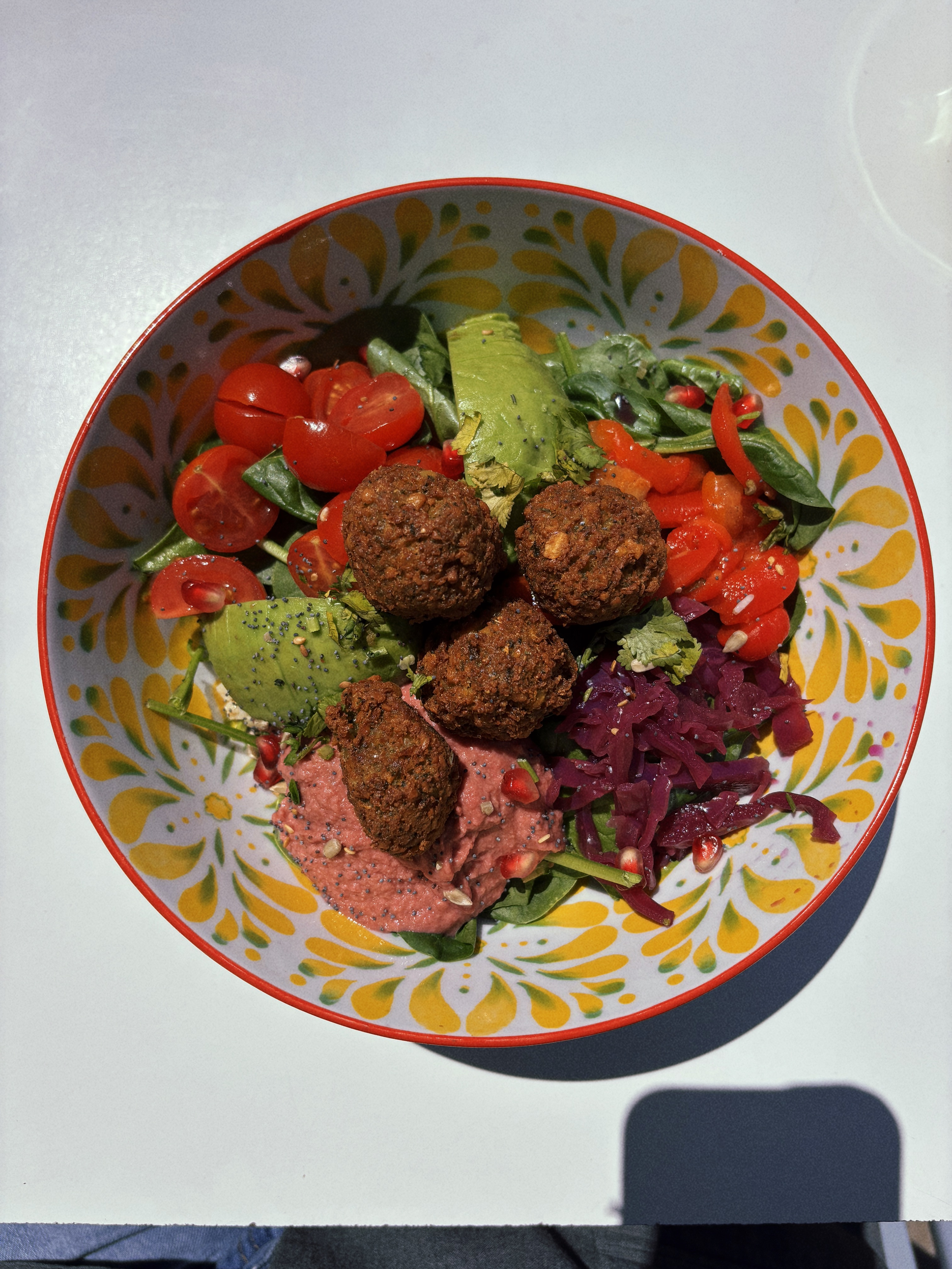 L'Alycastre - L'Alycastre