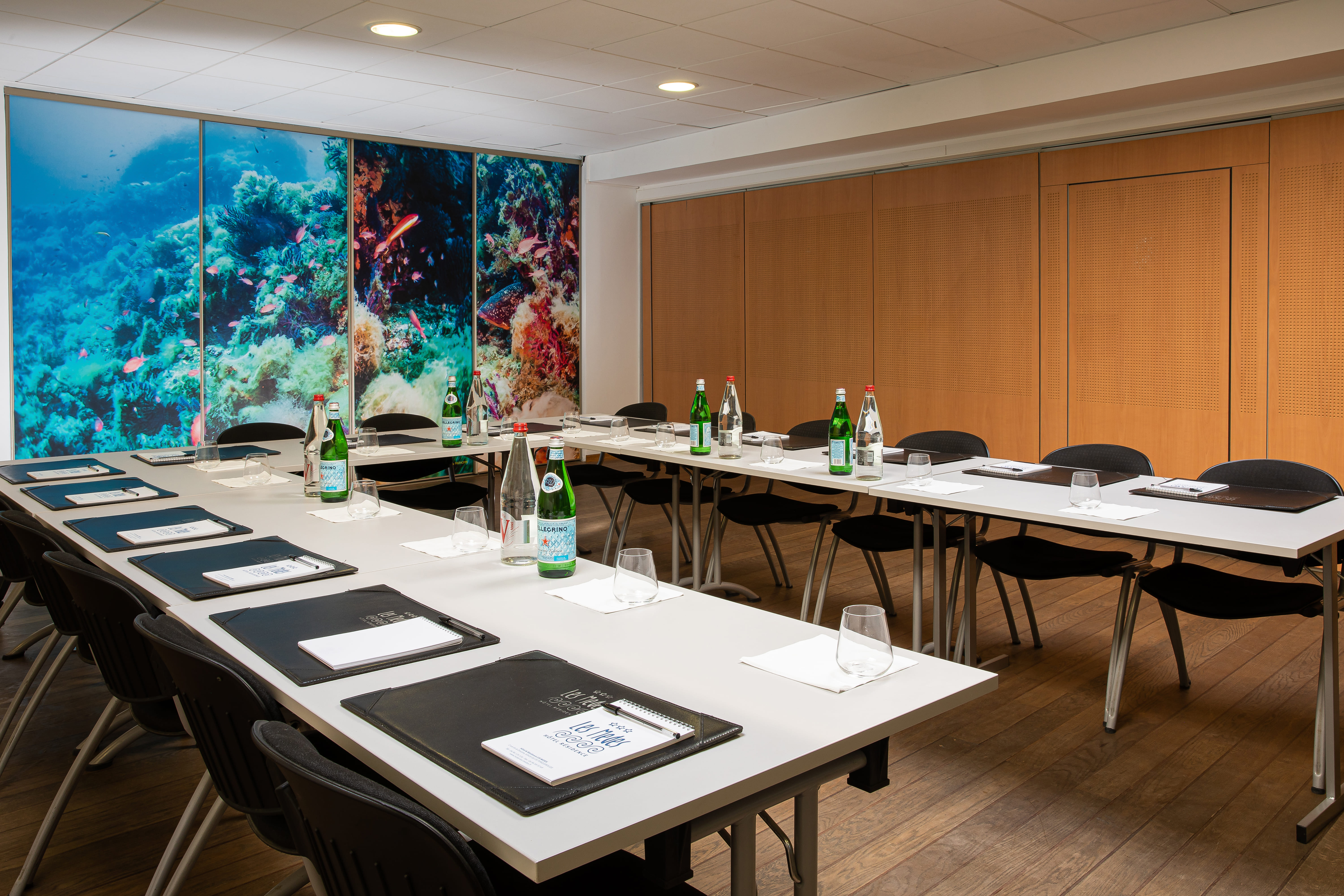 Salle de Séminaire - Hôtel Les Mèdes