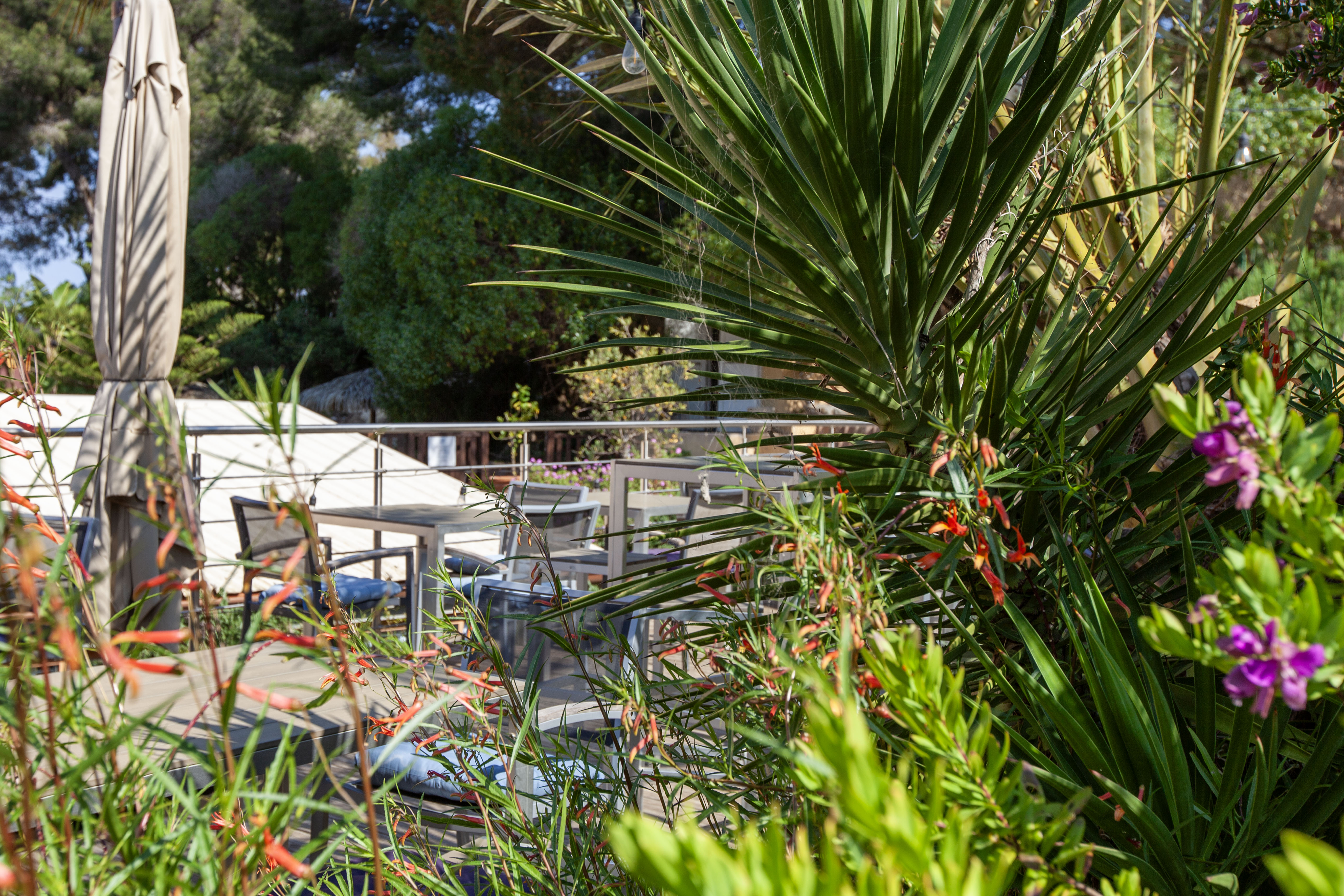 Résidence Les Mèdes - Les Mèdes