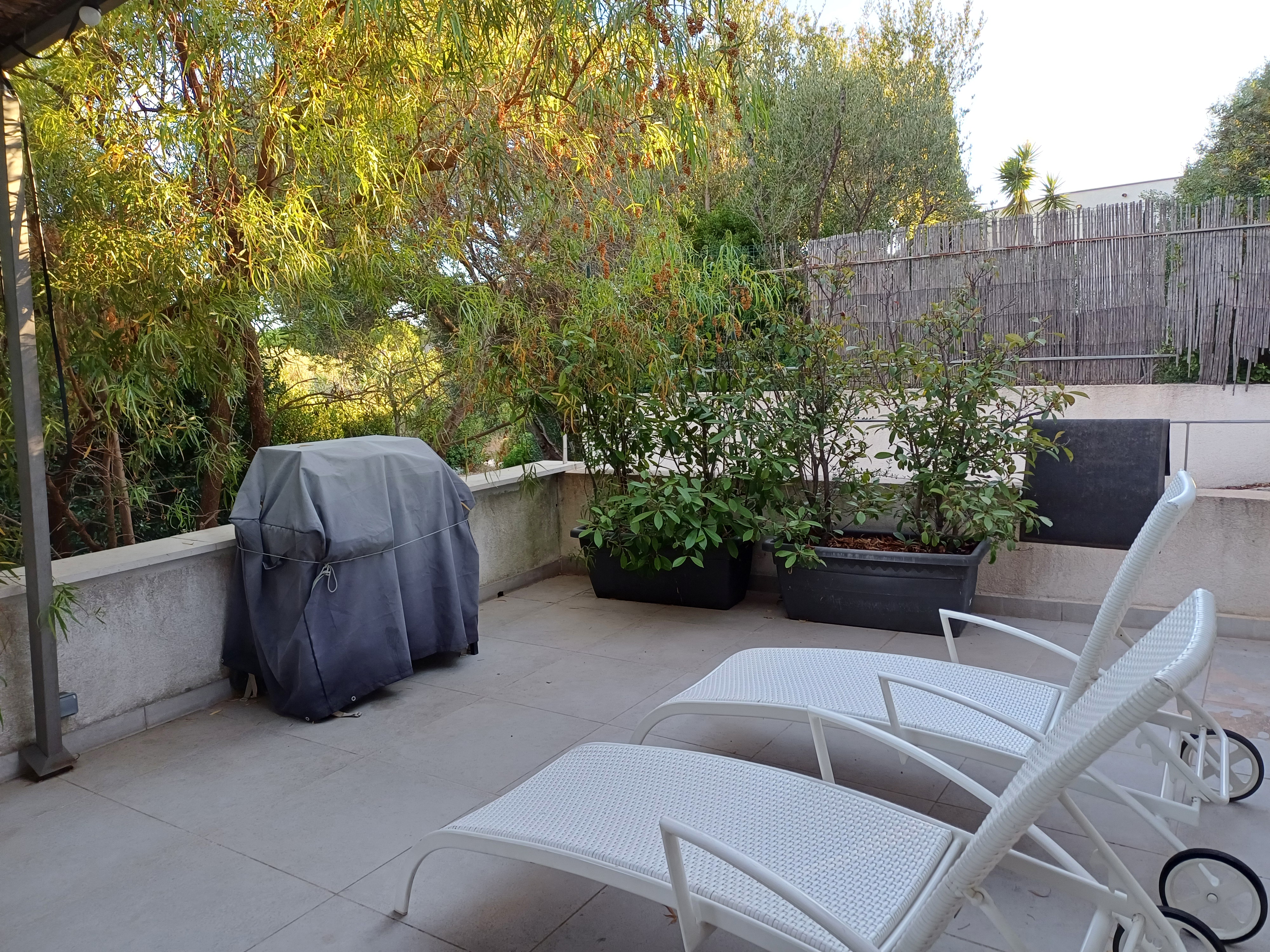 Barbecue - Anne Bertelli