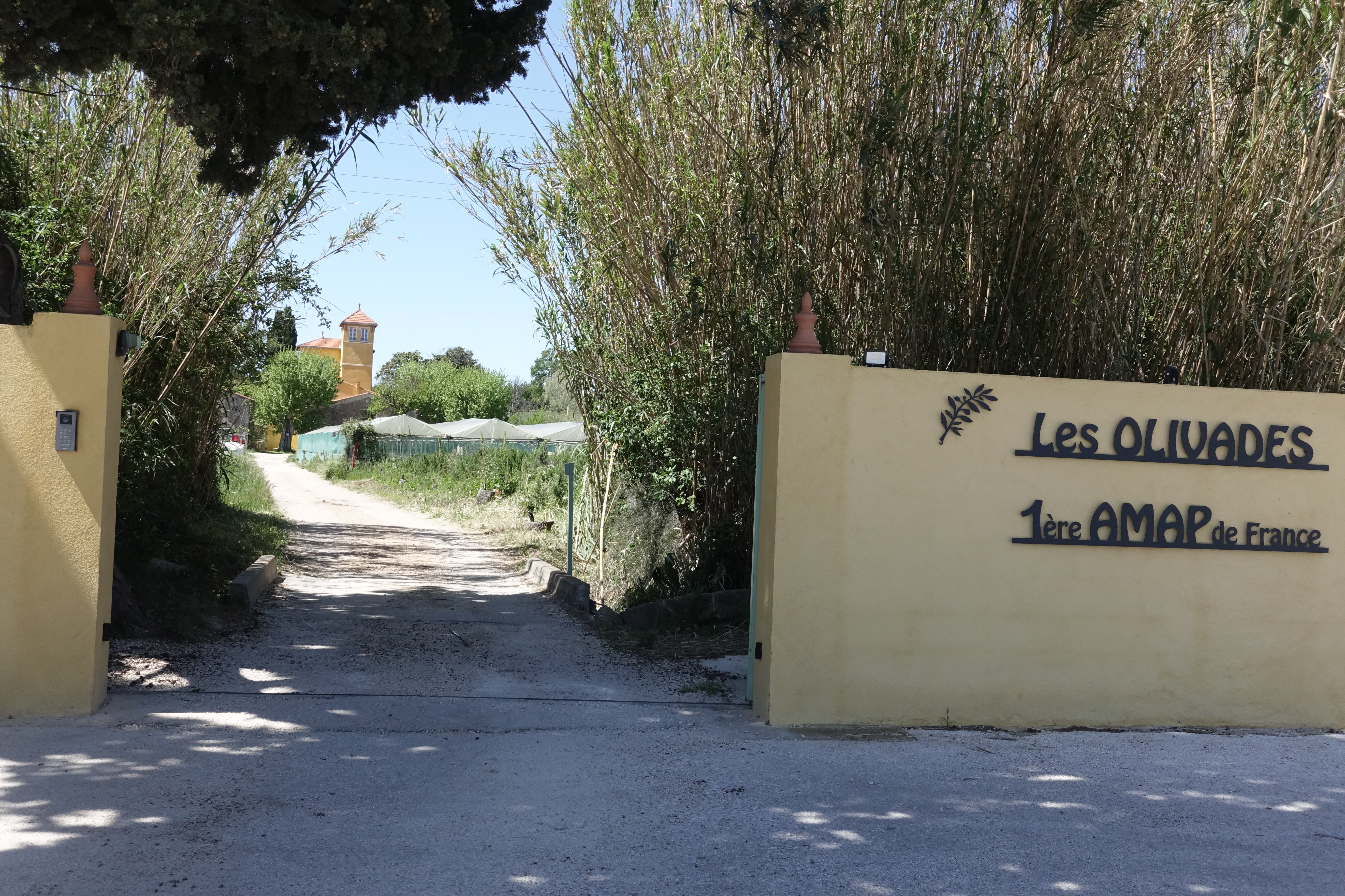 Association pour le Maintien de l'Agriculture Paysanne - Michel Massi