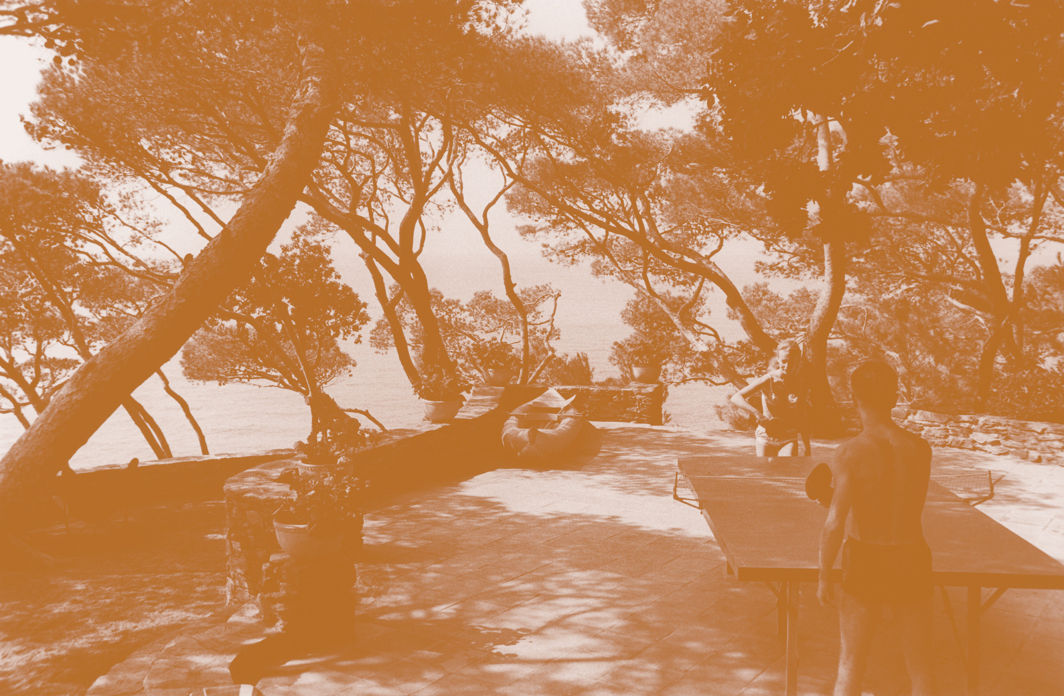 Le Provençal - Le Provençal