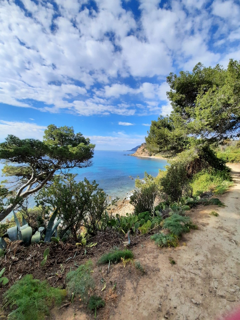 Sentier du littoral de Saint Mandrier - Fabienne Bartolomeo