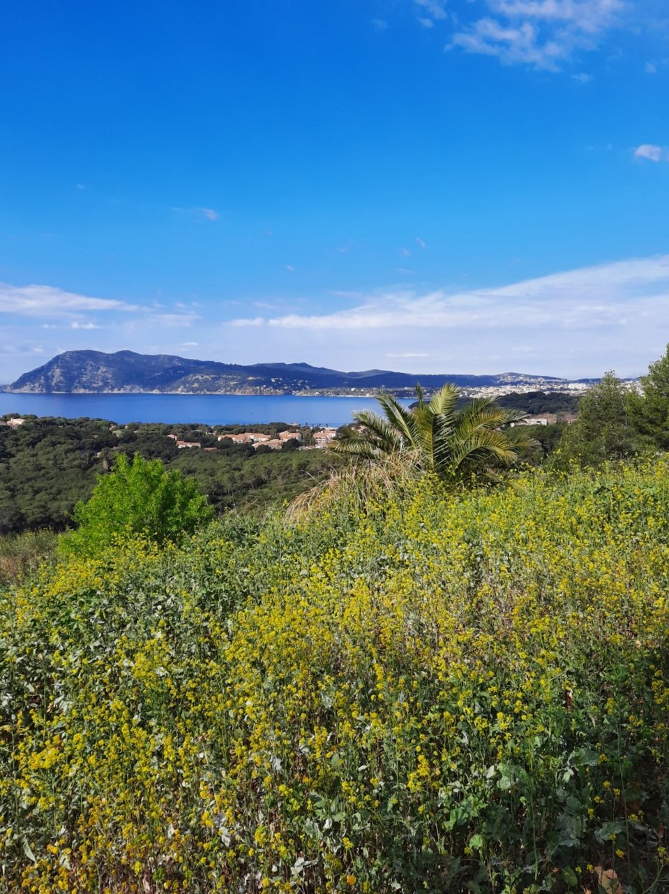 Sentier du littoral de Saint Mandrier - Fabienne Bartolomeo