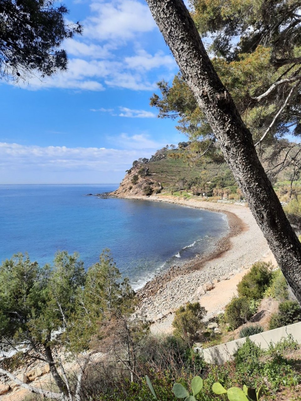 Sentier du littoral de Saint Mandrier - Fabienne Bartolomeo