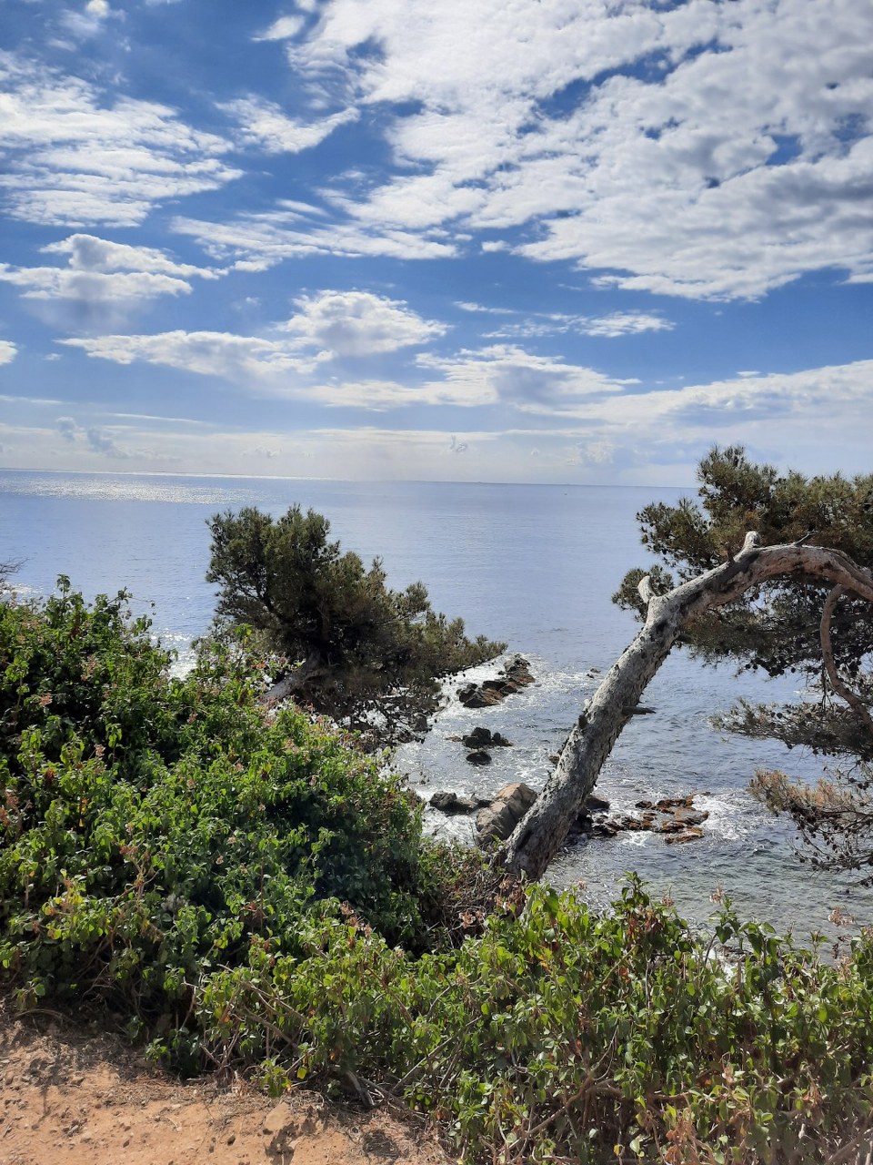 Sentier du littoral de Saint Mandrier - Fabienne Bartolomeo