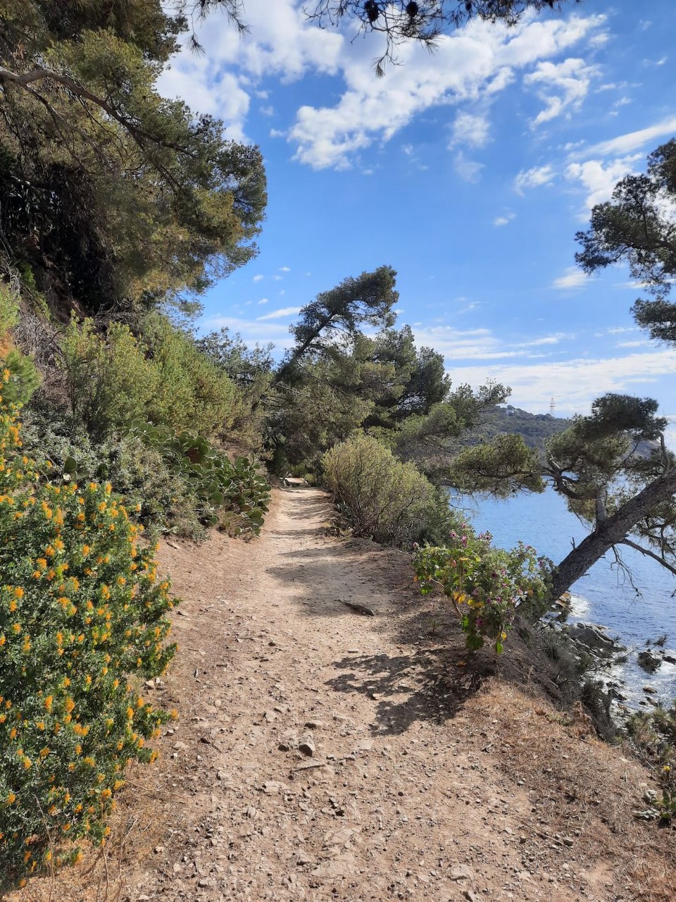 Sentier du littoral de Saint Mandrier - Fabienne Bartolomeo