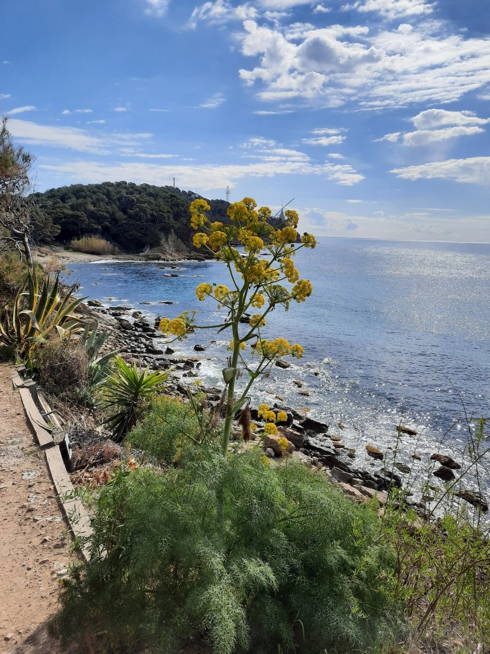 Sentier du littoral de Saint Mandrier - Fabienne Bartolomeo
