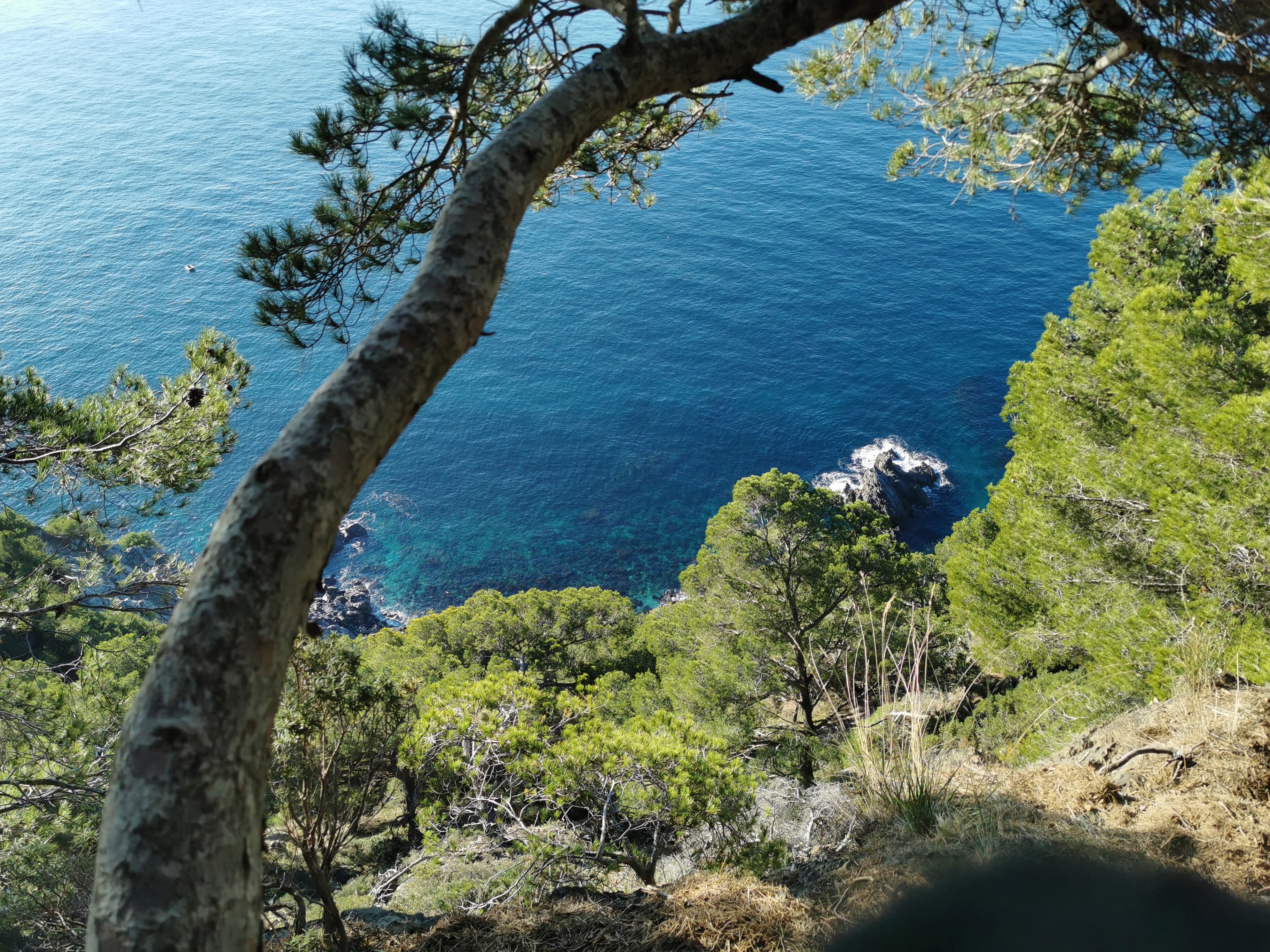 Portion Le Mont Salva - Notre Dame du Mai - Provence Méditerranée