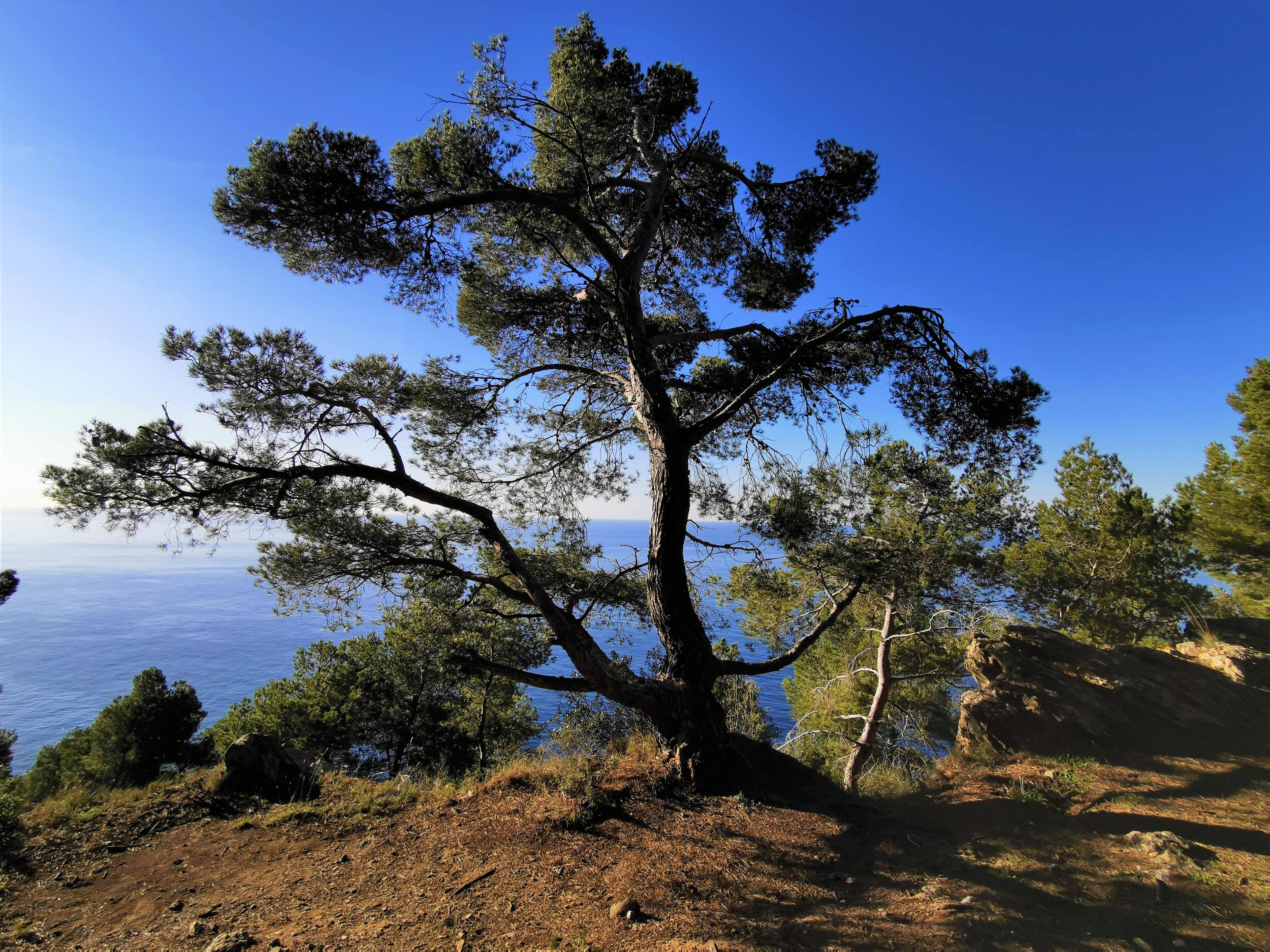 Portion Le Mont Salva - Notre Dame du Mai - Provence Méditerranée