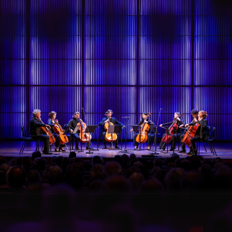 La nuit des violoncelles à la Villa Carmignac_Hyères - fONDATION CARMIGNAC