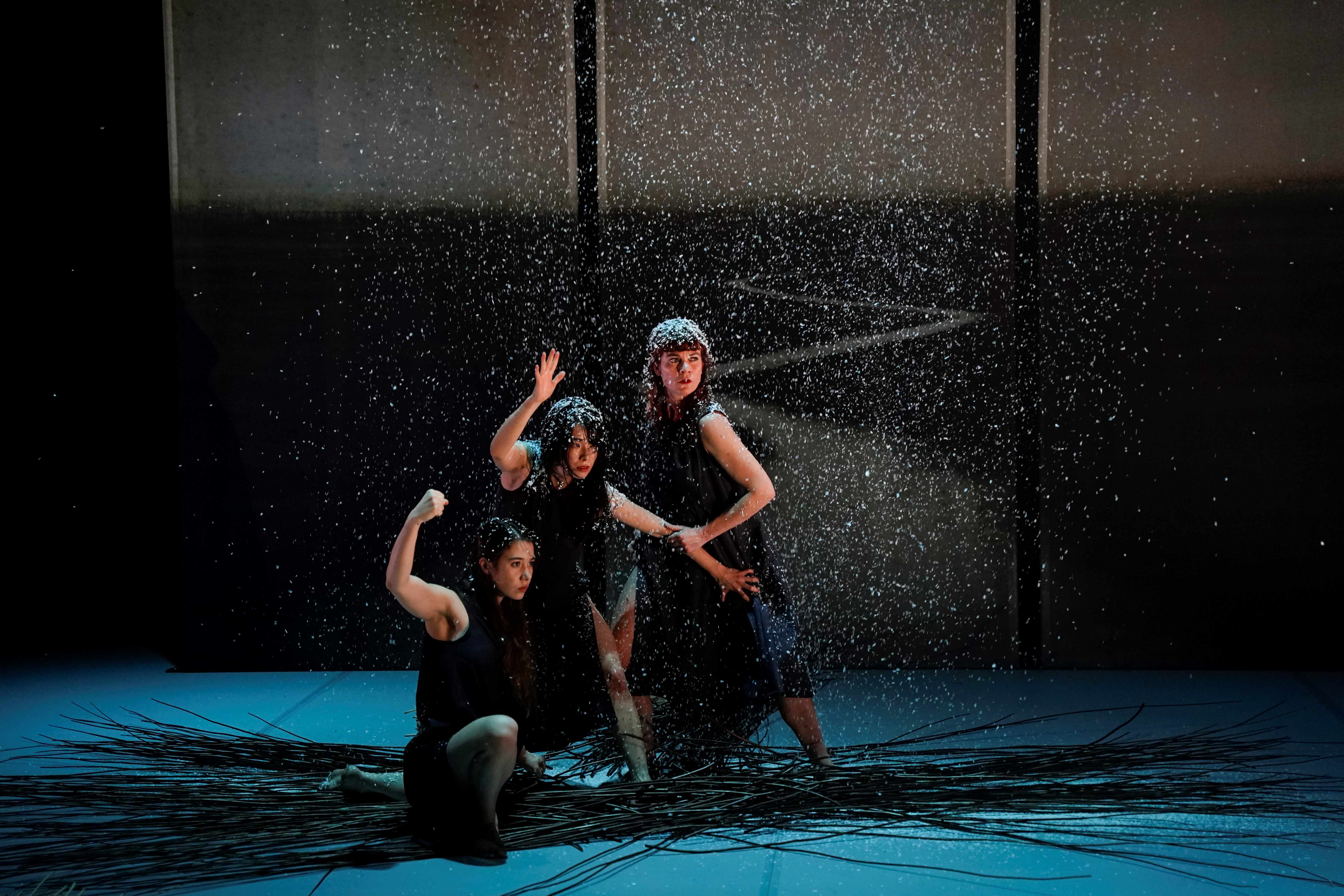 Ronces BD-183 - Bastien Capela