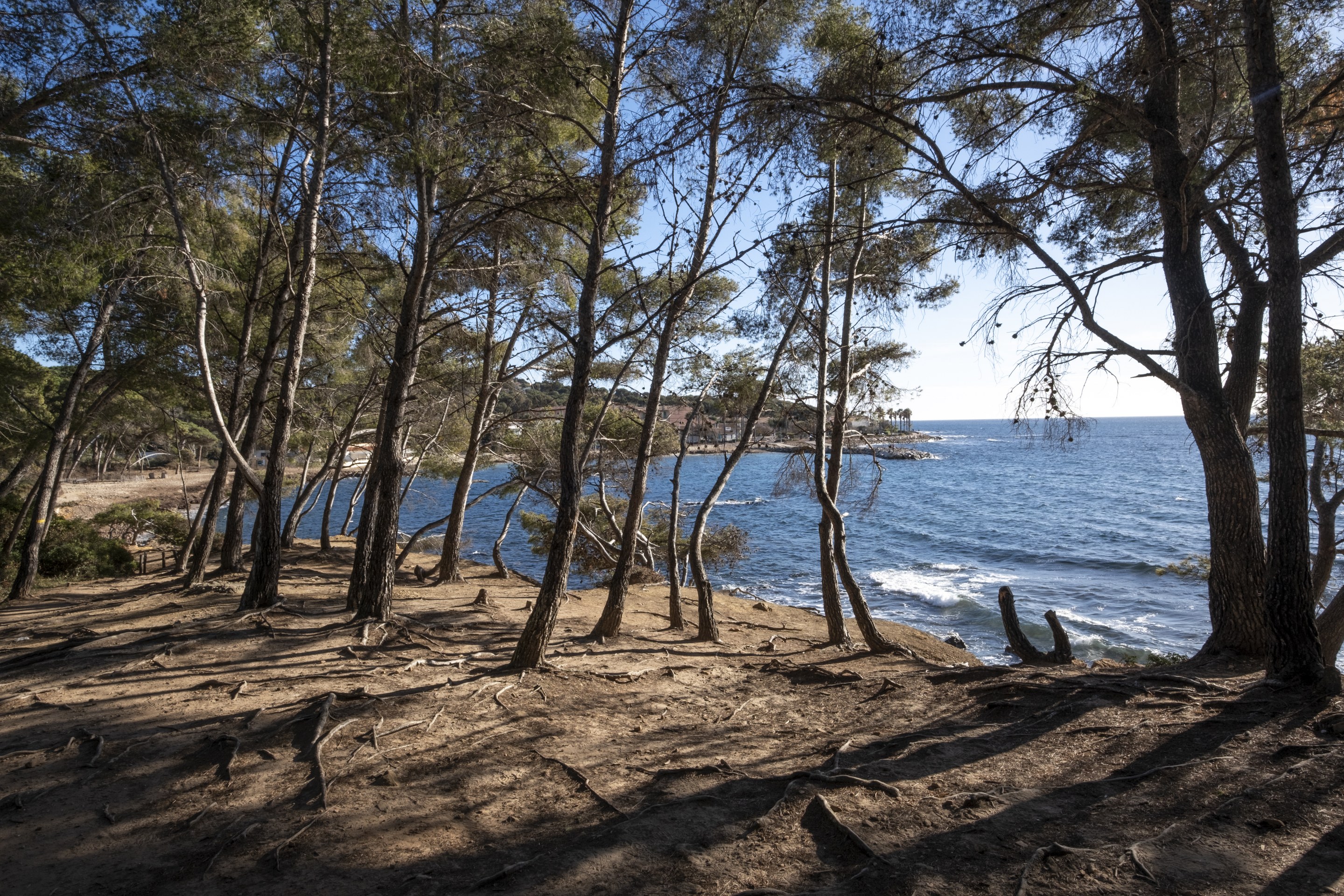 Pinède Saint-Asile - Tourisme Provence Méditerranée / Laurent Parienti