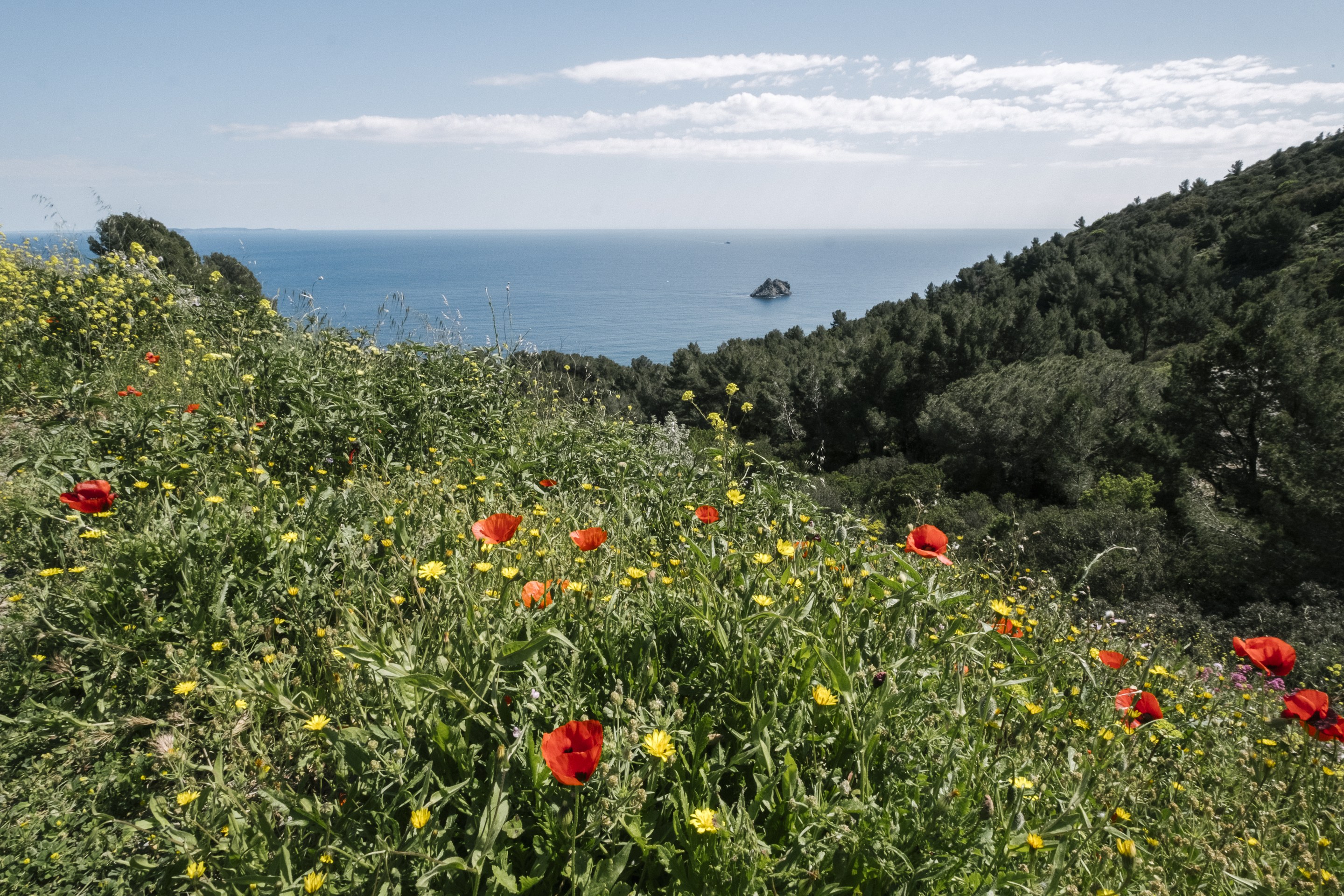 Massif du Cap Sicié - Tourisme Provence Méditerranée / Laurent Parienti