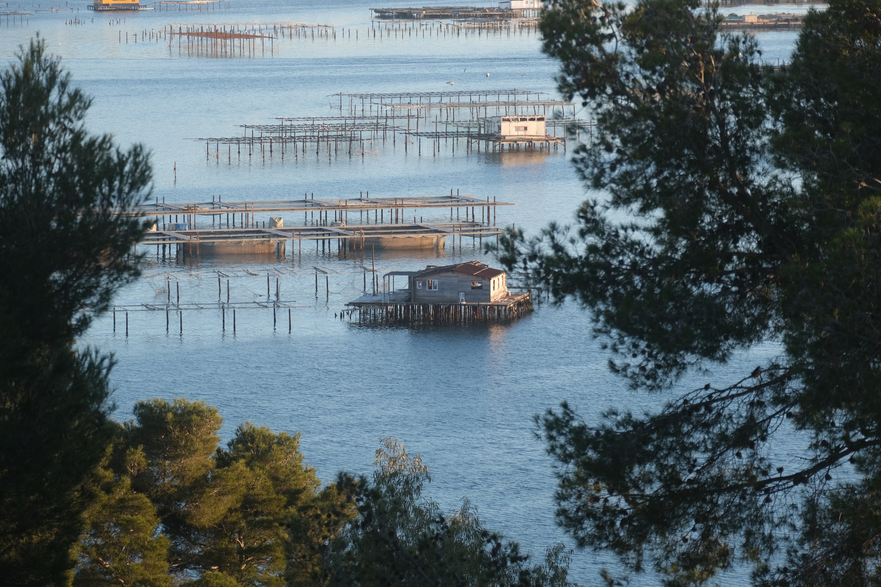 Baie du Lazaret - Tourisme Provence Méditerranée / Laurent Parienti