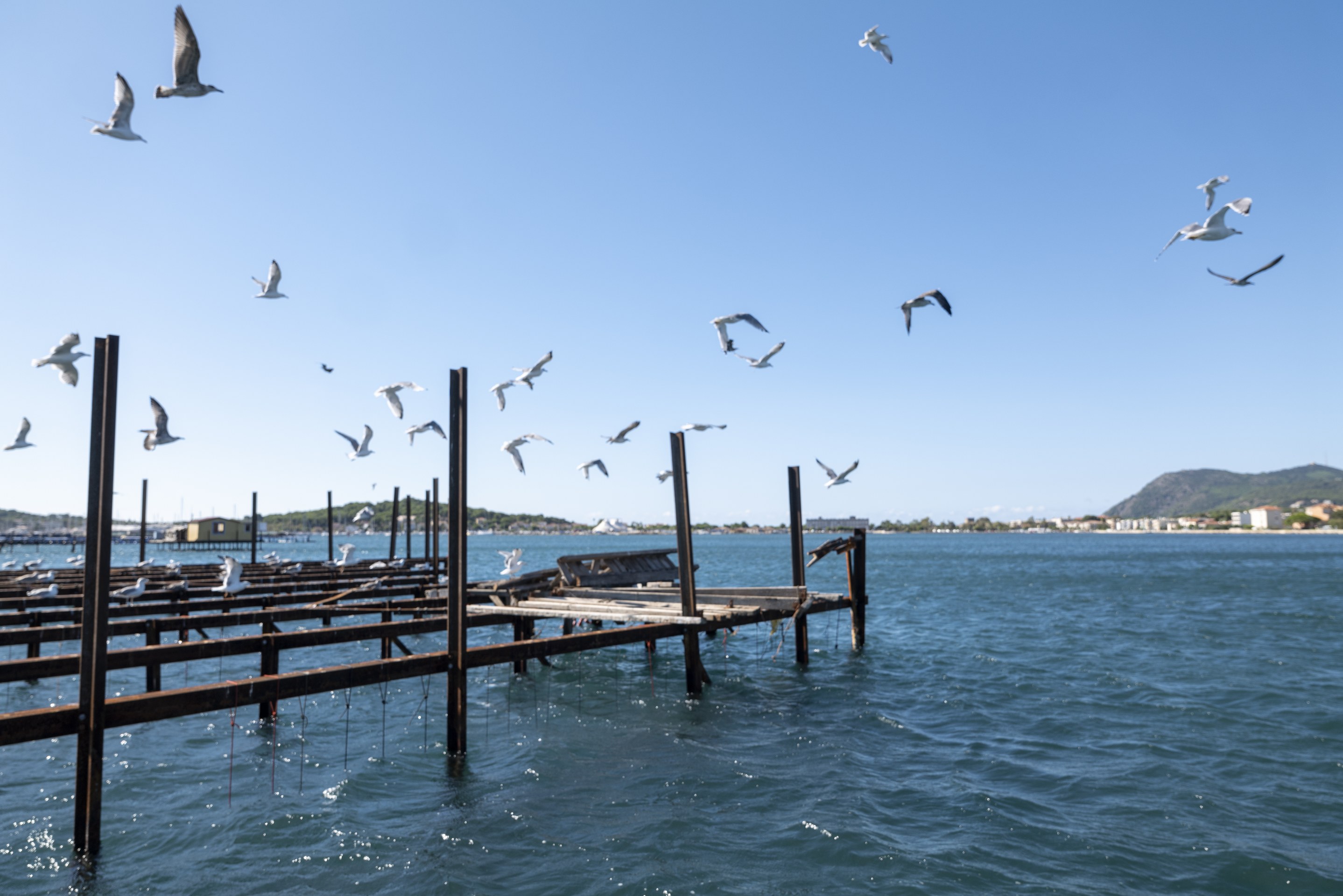 Baie du Lazaret - Tourisme Provence Méditerranée / Laurent Parienti