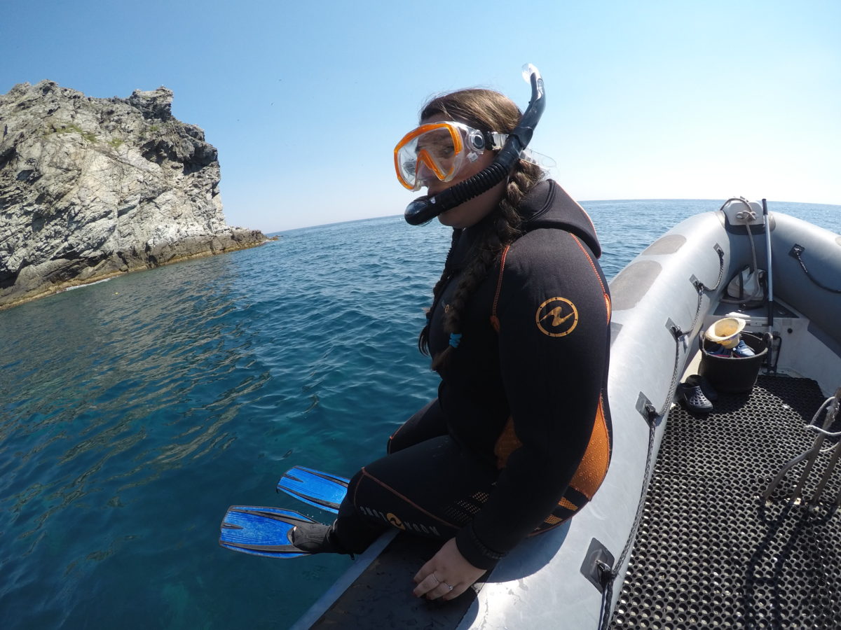 plongée sous marine, site les 2 frères à la Seyne sur Mer - Tourisme Provence Méditerranée