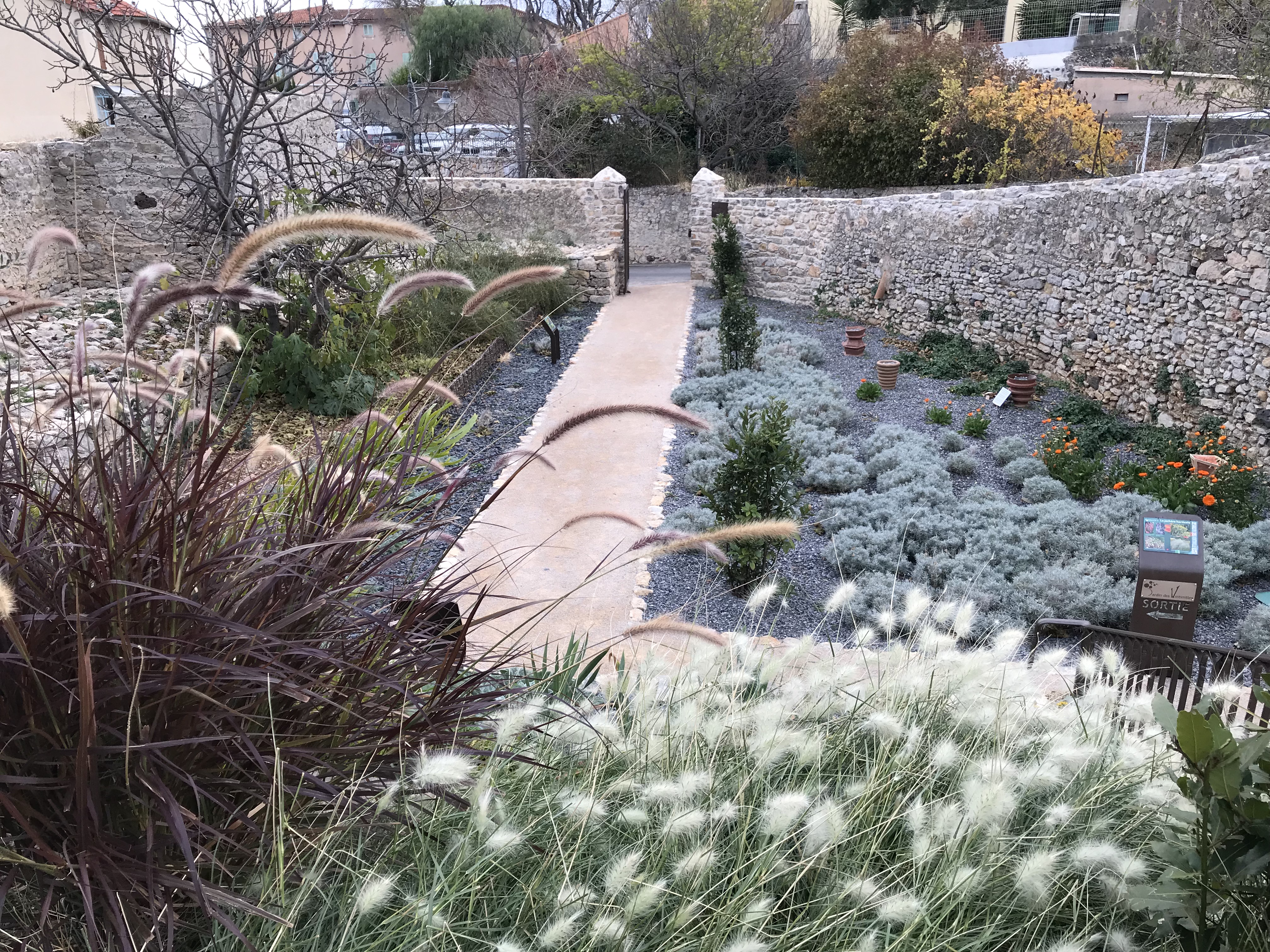 Collection de végétaux - Tourisme Provence Méditerranée