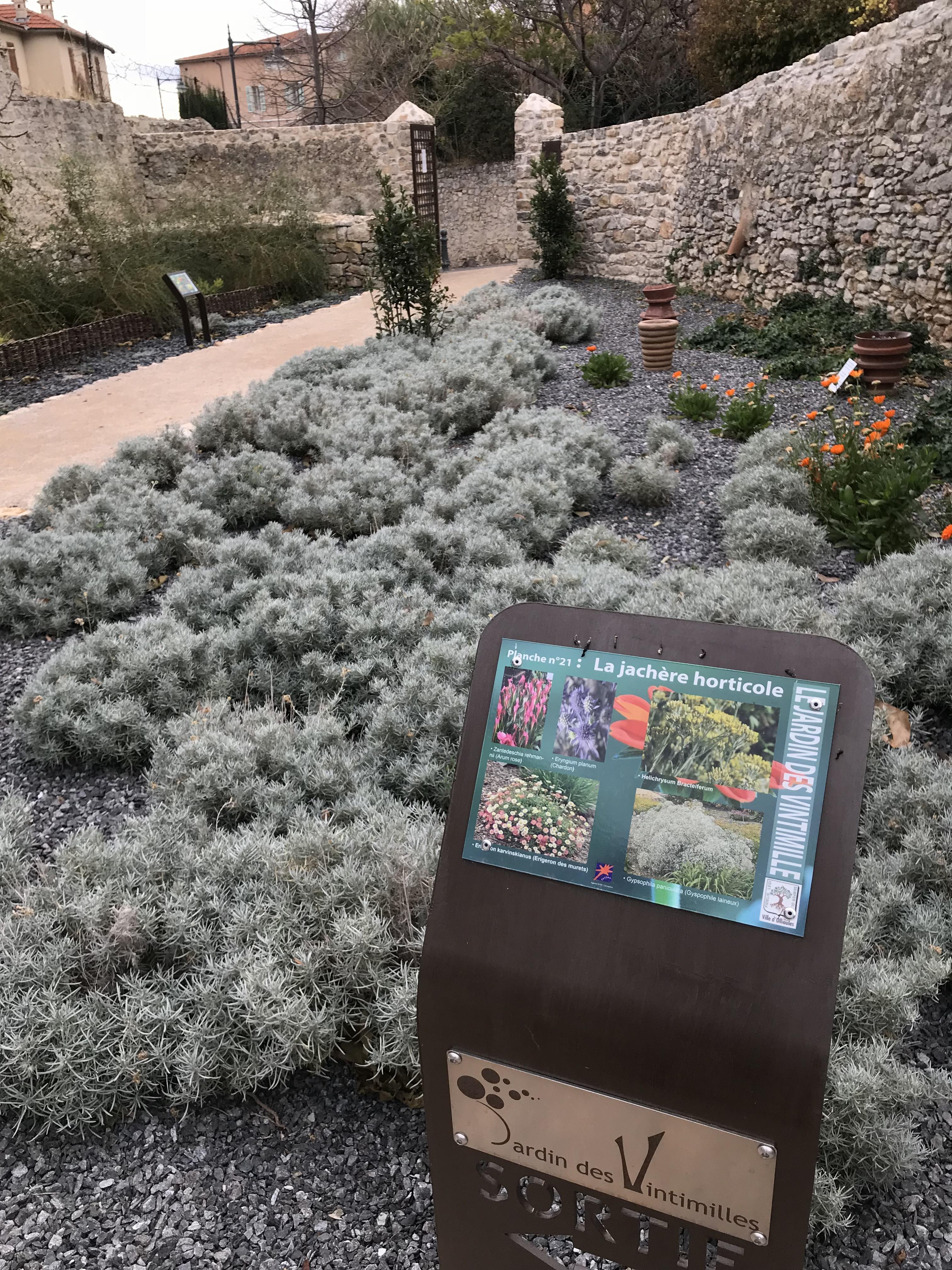 Parcours botanique - Tourisme Provence Méditerranée