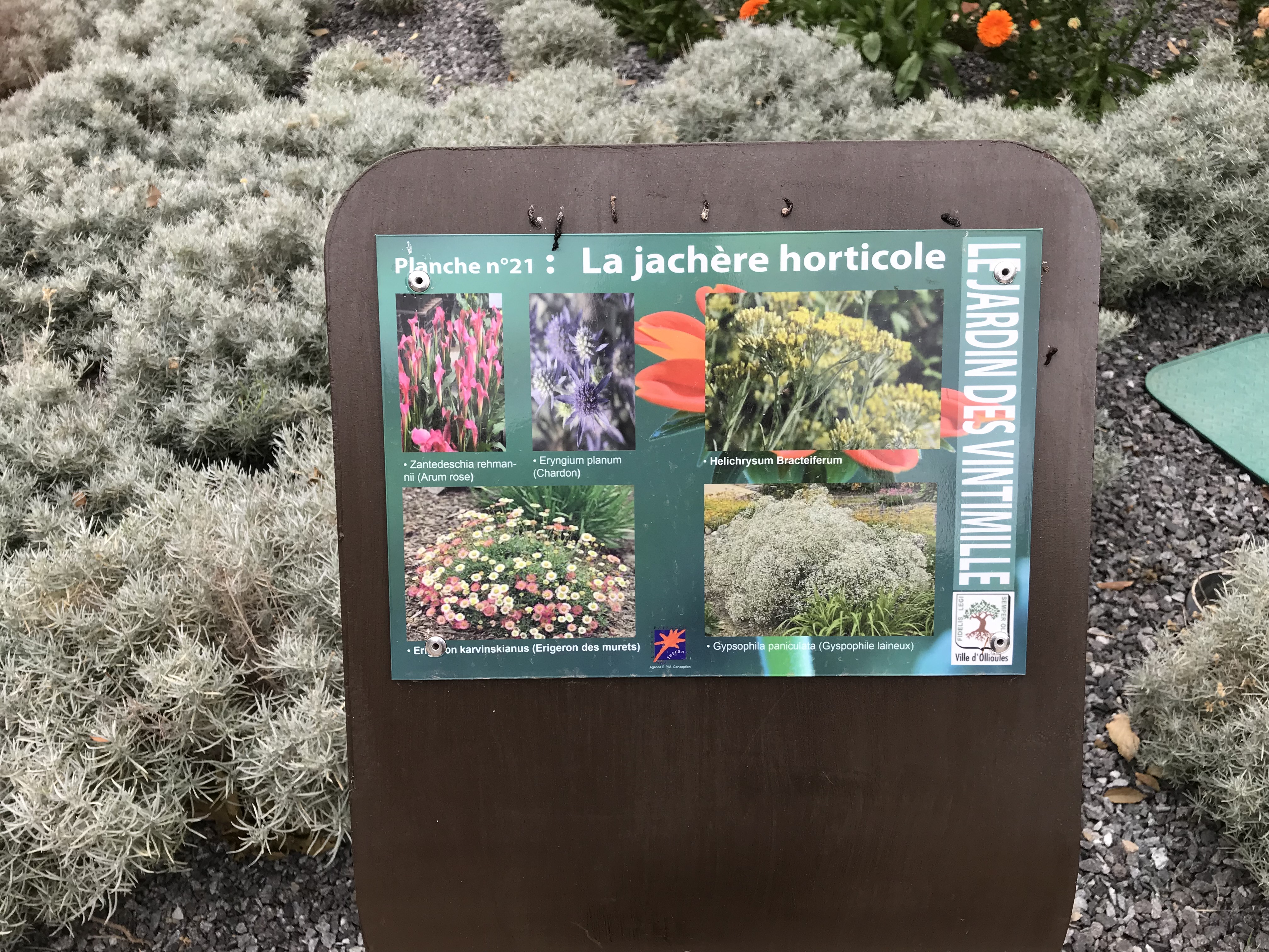 Parcours botanique - Tourisme Provence Méditerranée