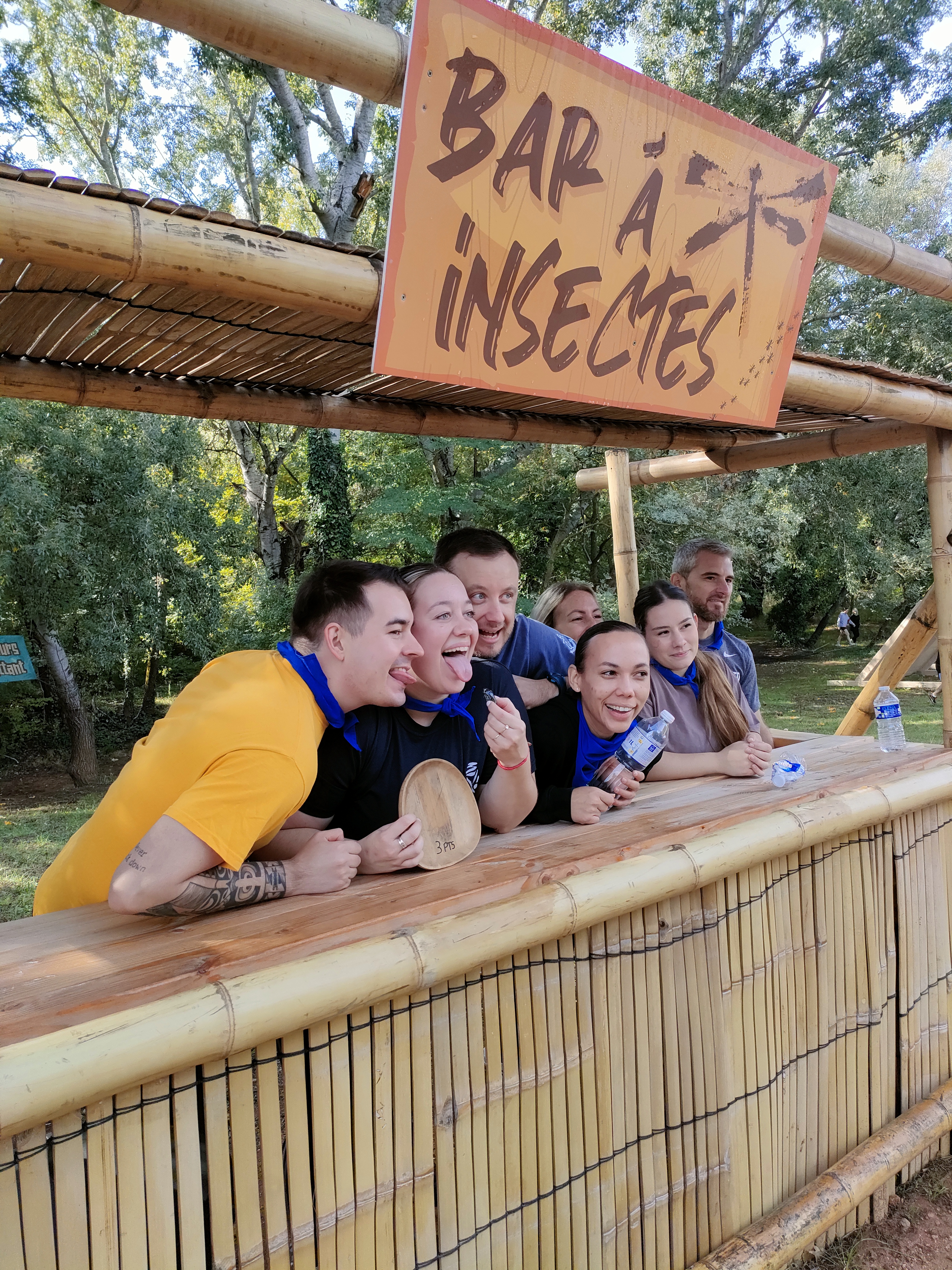 Bar à Insectes - Carole Lainé