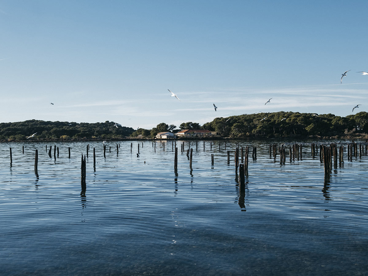 Baie de Tamaris - Laurent Parienti  - Office de Tourisme Provence Méditerranée