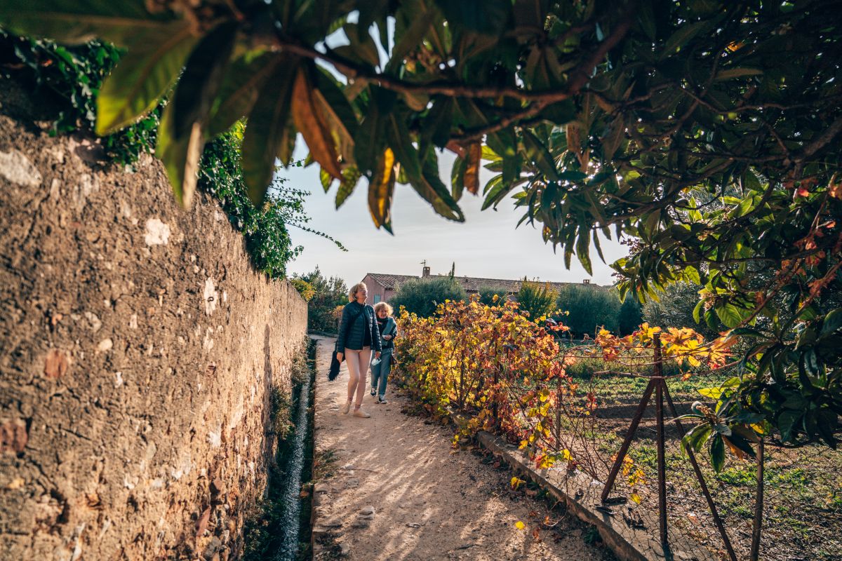 Balade gourmande à Ollioules_Ollioules - Gossuin Brothers