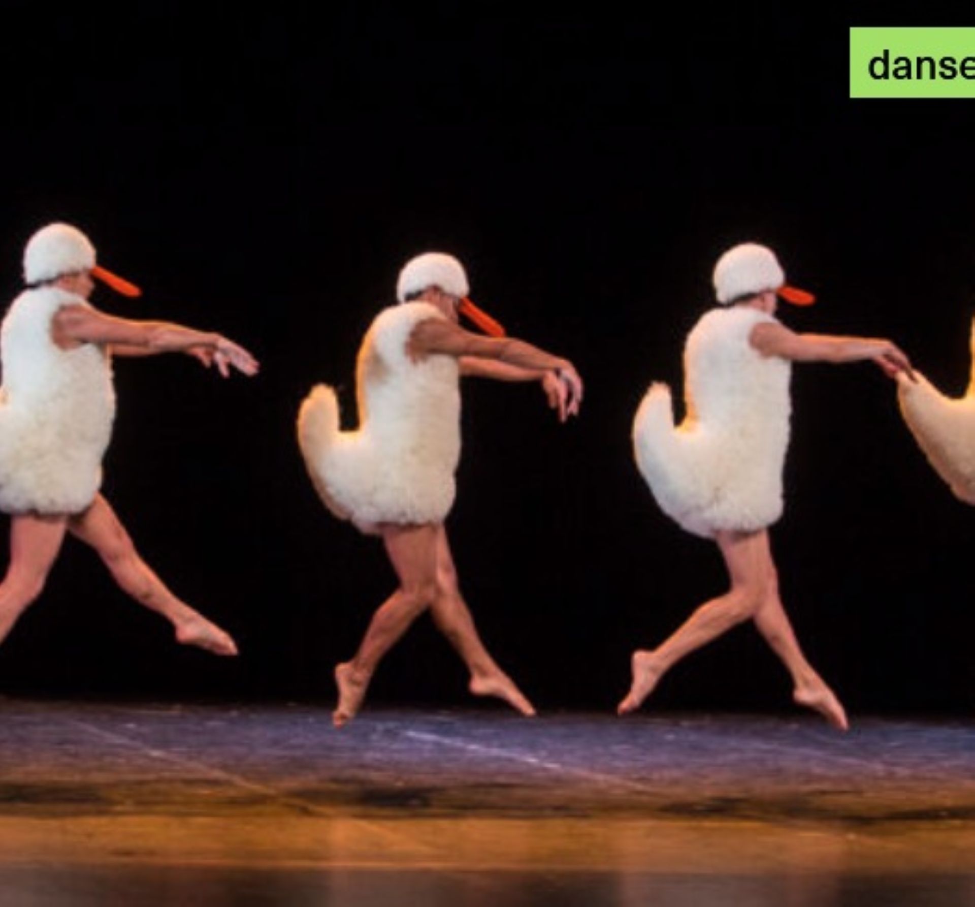 Danse - Tutu - Théâtre L'Escale_La Garde - Mairie de La Garde