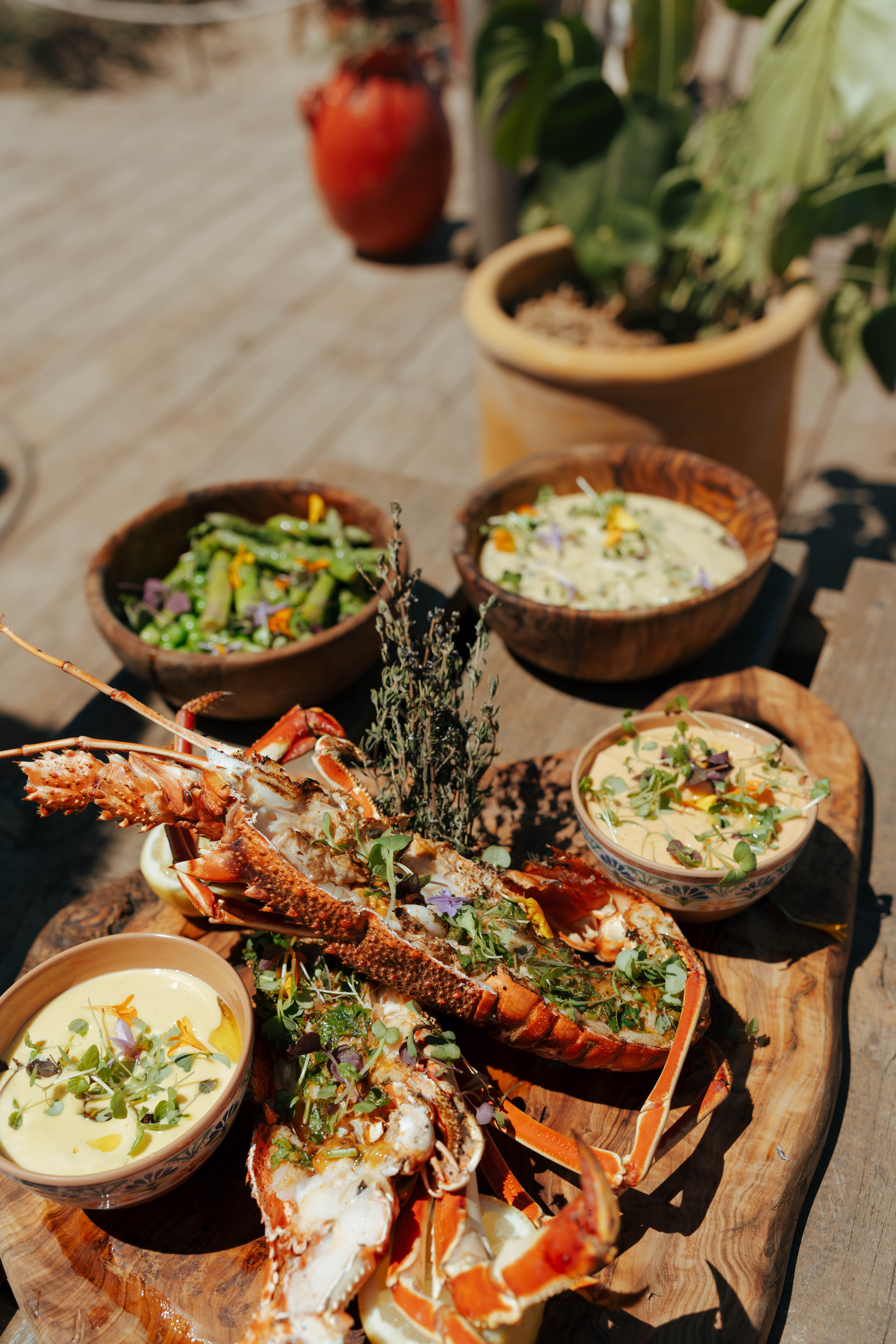 Lobster - Domaine de la Mer