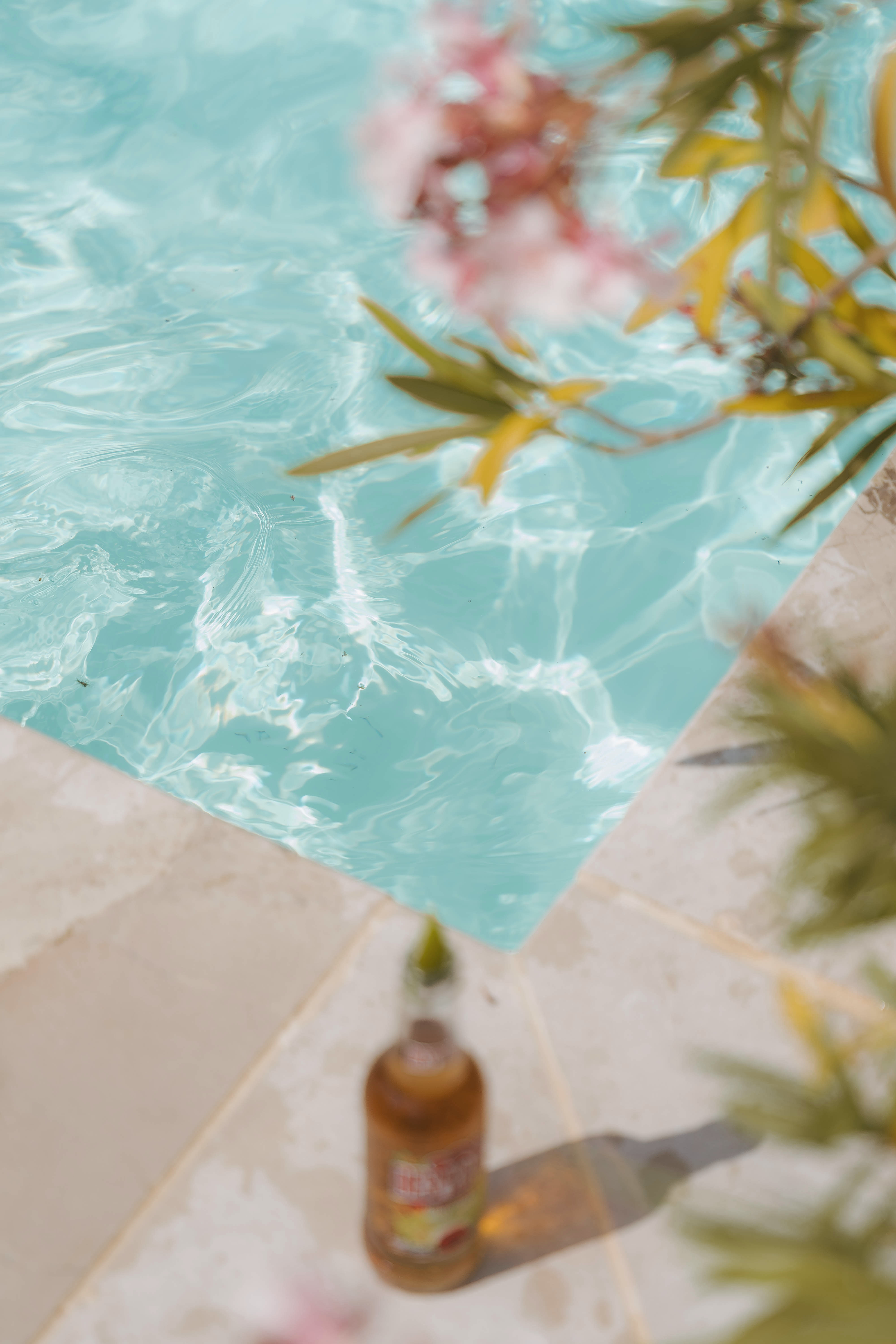 Pool - Domaine de la Mer