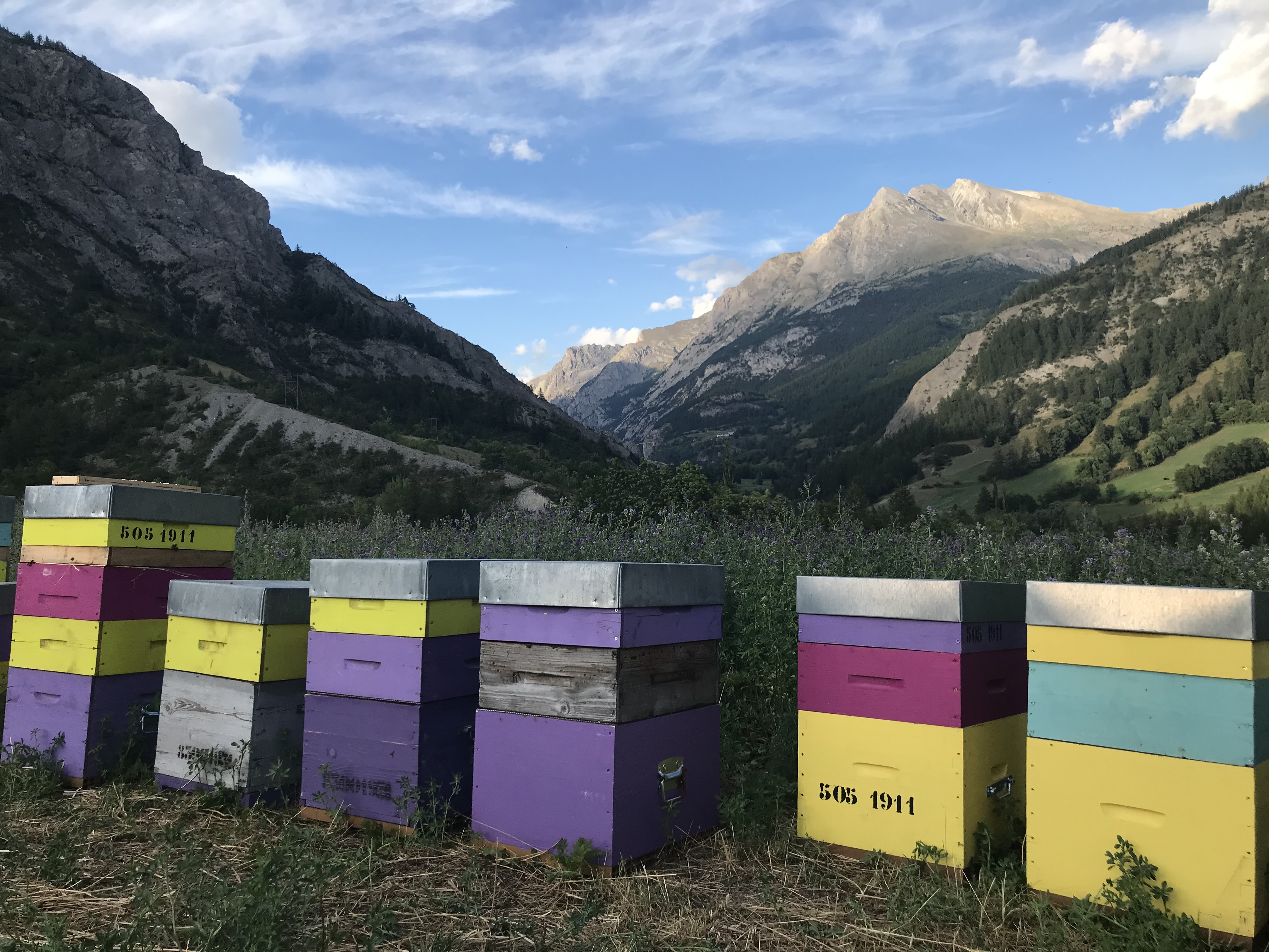 Montagne - Choque didier