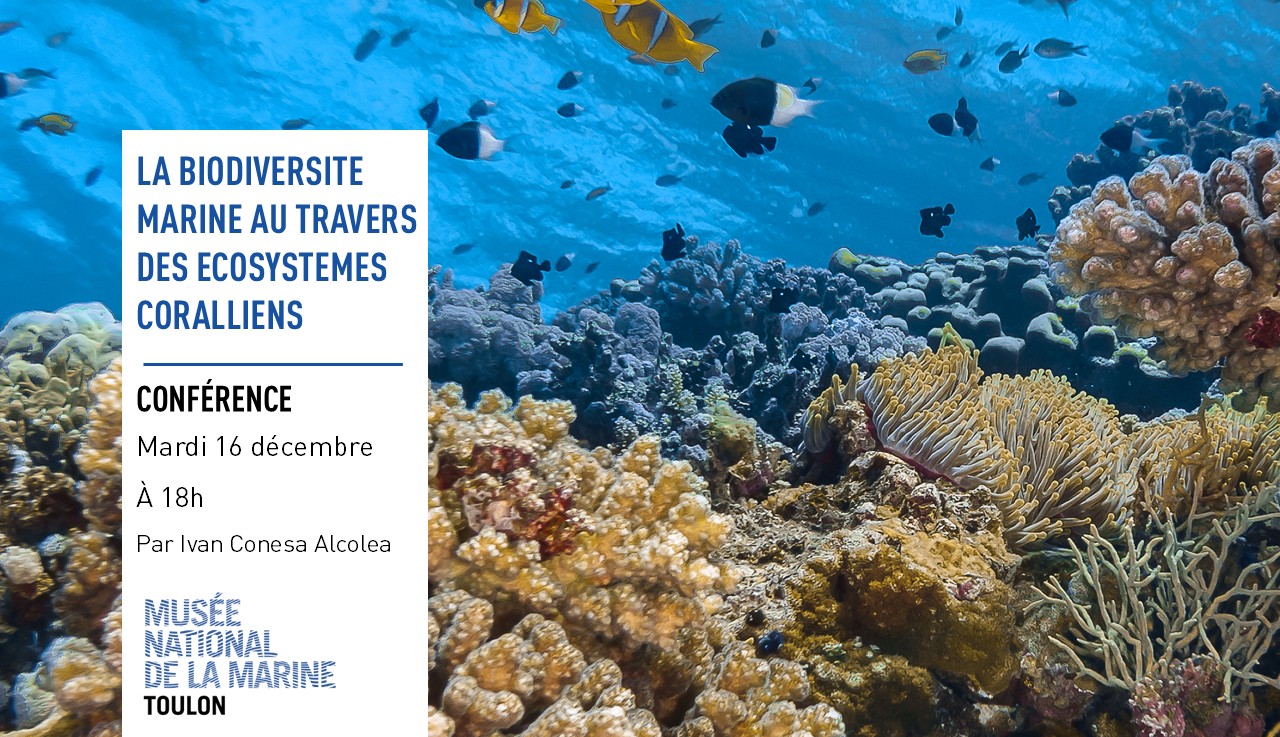 Conférence biodiversité - DR / Musée national de la Marine