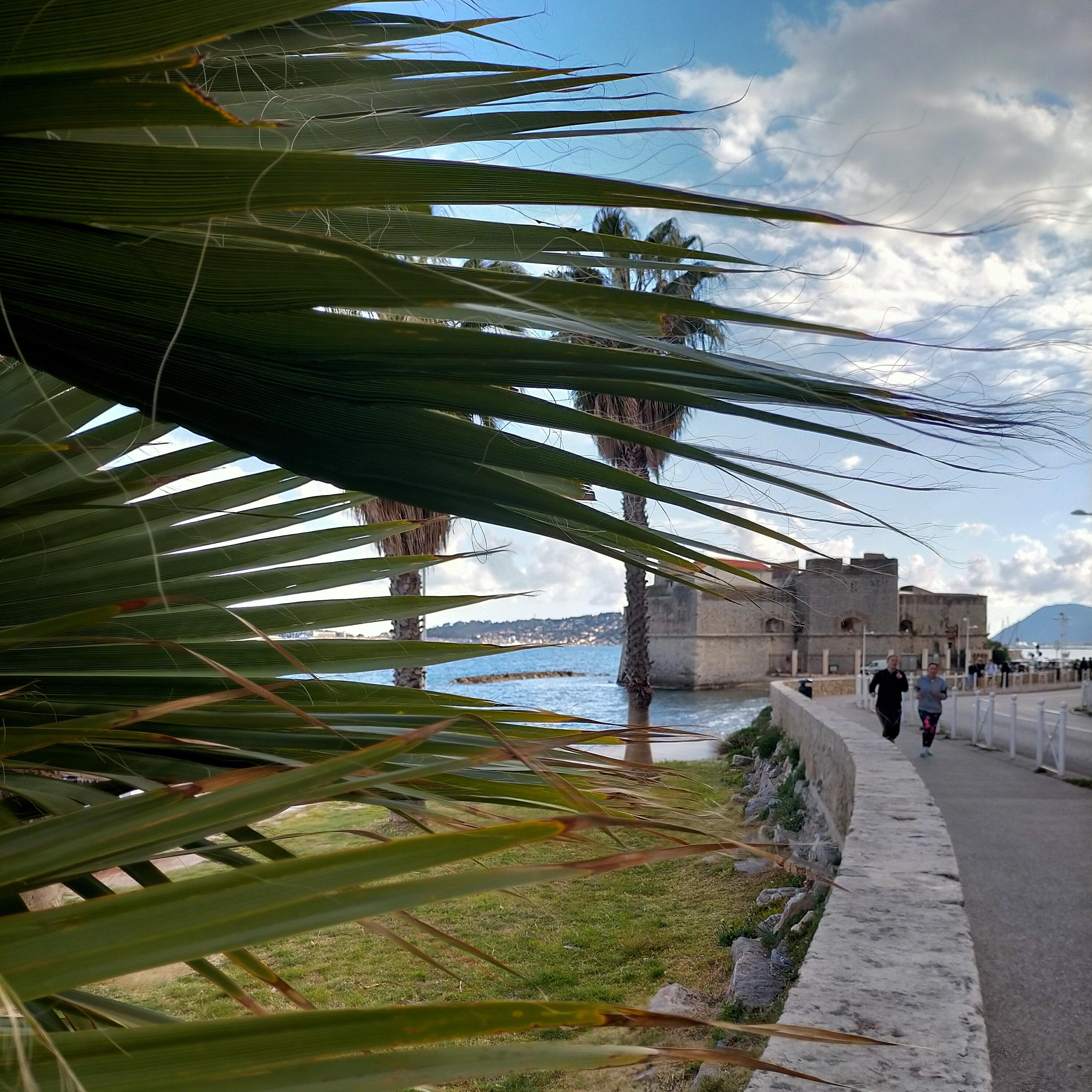 Mourillon Fort Saint Louis - @C.CANTUTI OTMPM