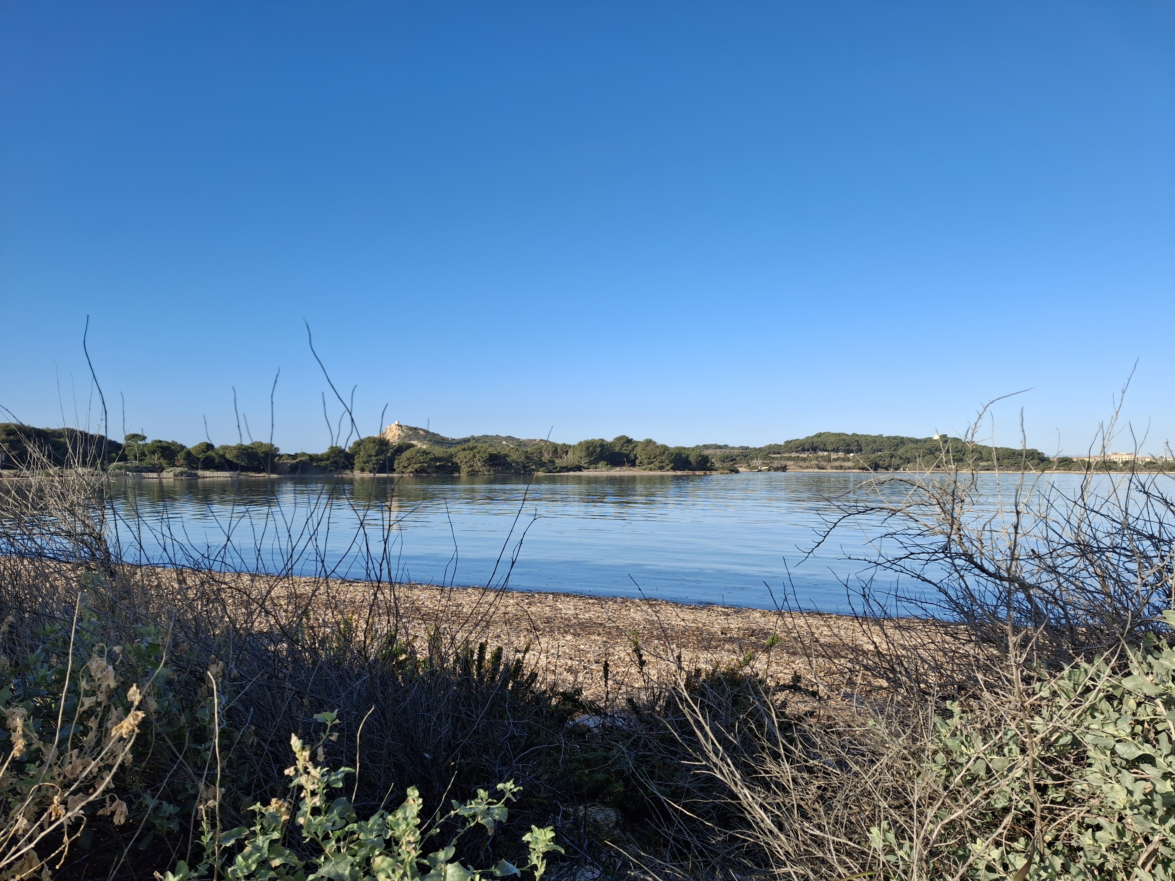 Lagune du Gaou - @C.CANTUTI OTMPM