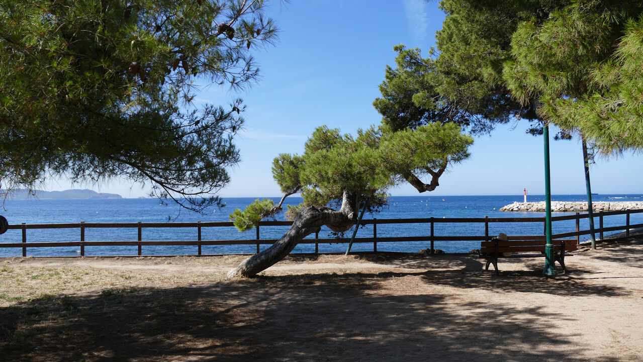 Parc des pins penchés - @S.BENEZECH OTMPM