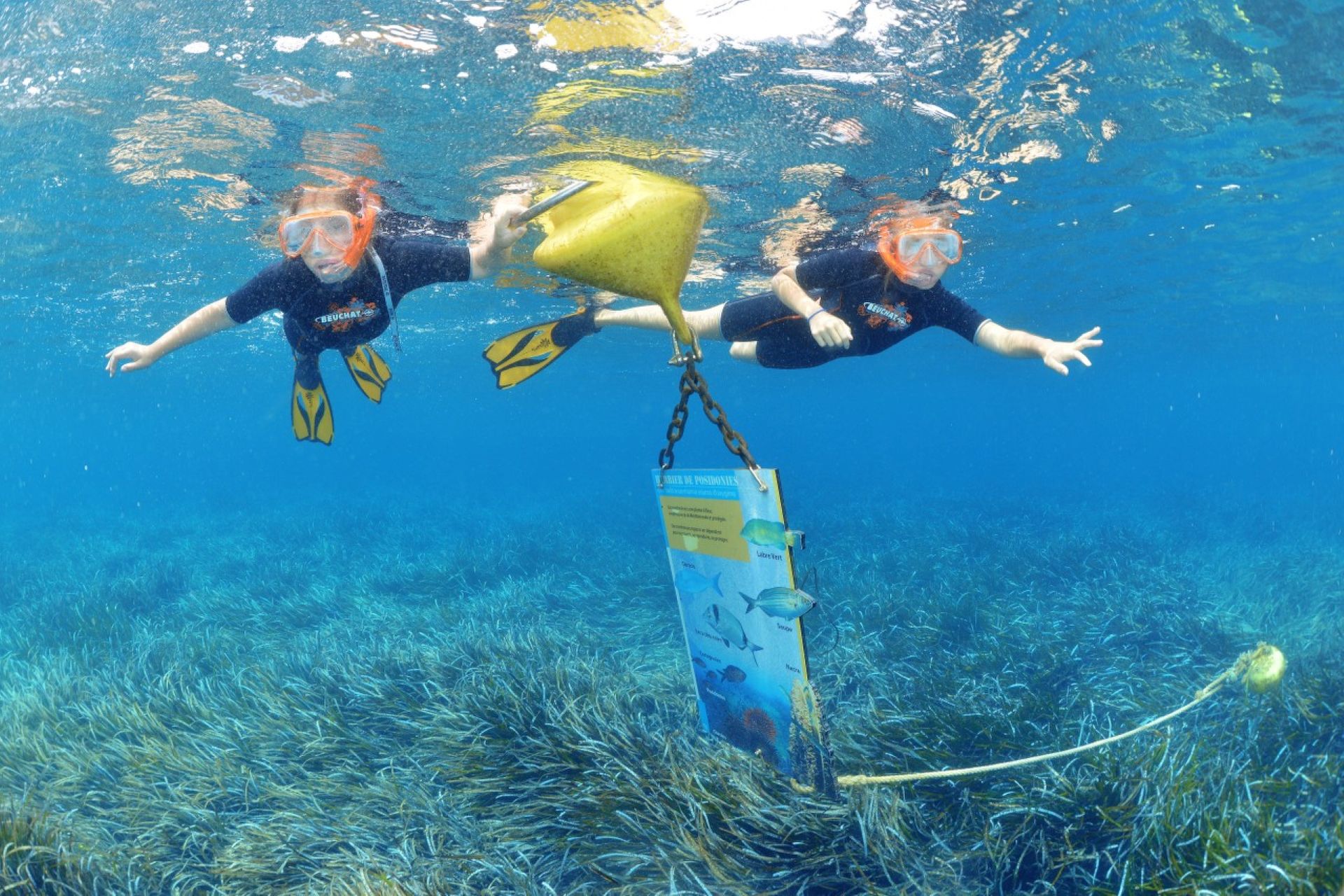 Plage de la Palud_Hyères - Nicolas Barraque