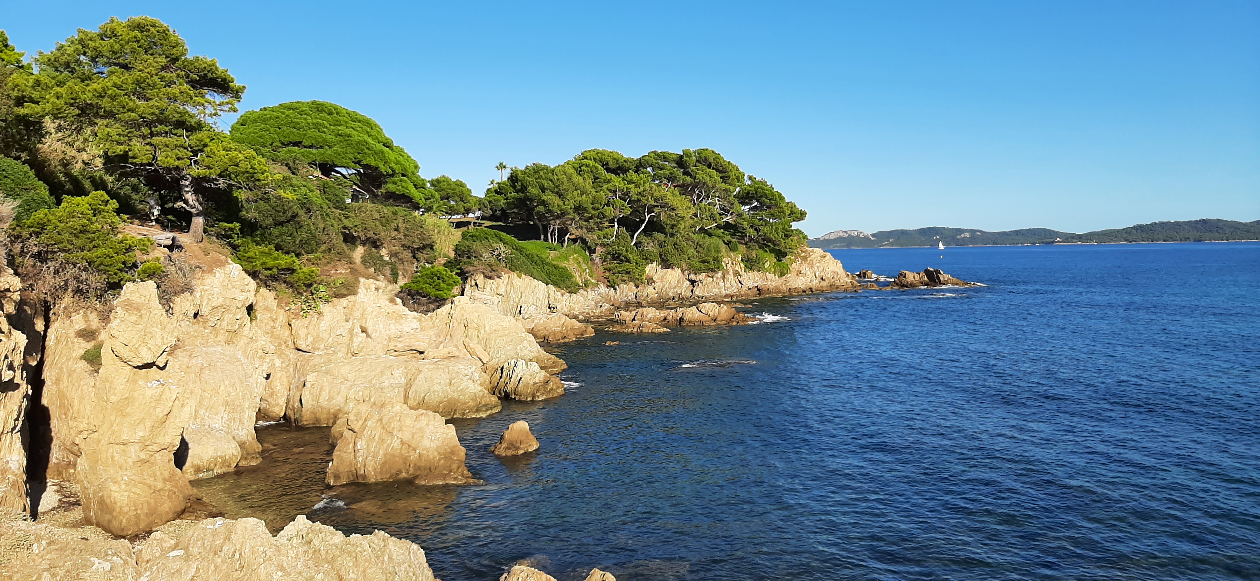 Graines de pirates à Giens : plantes pirates et trésors naturels_Hyères - Emmanuelle CHEVALIER