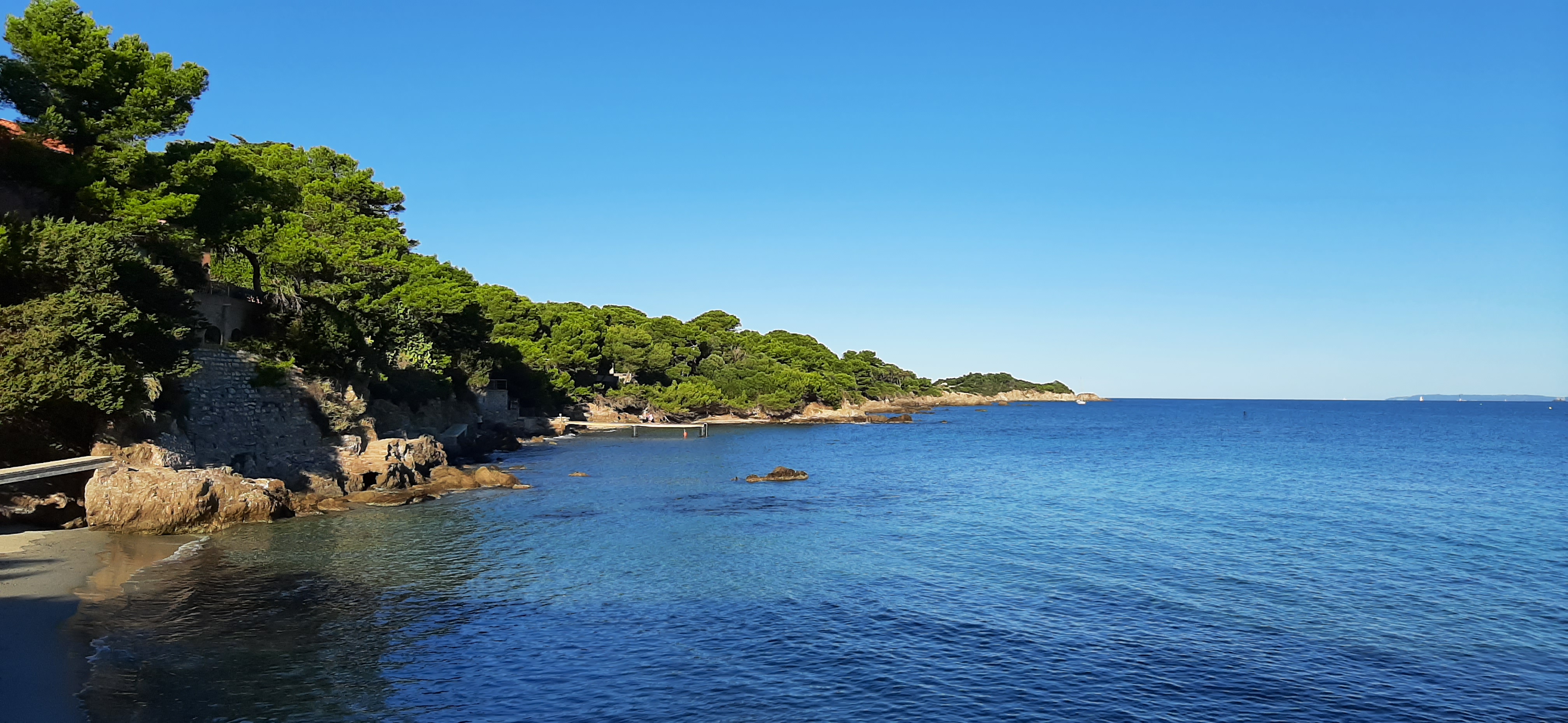 Graines de pirates à Giens : plantes pirates et trésors naturels_Hyères - Emmanuelle CHEVALIER