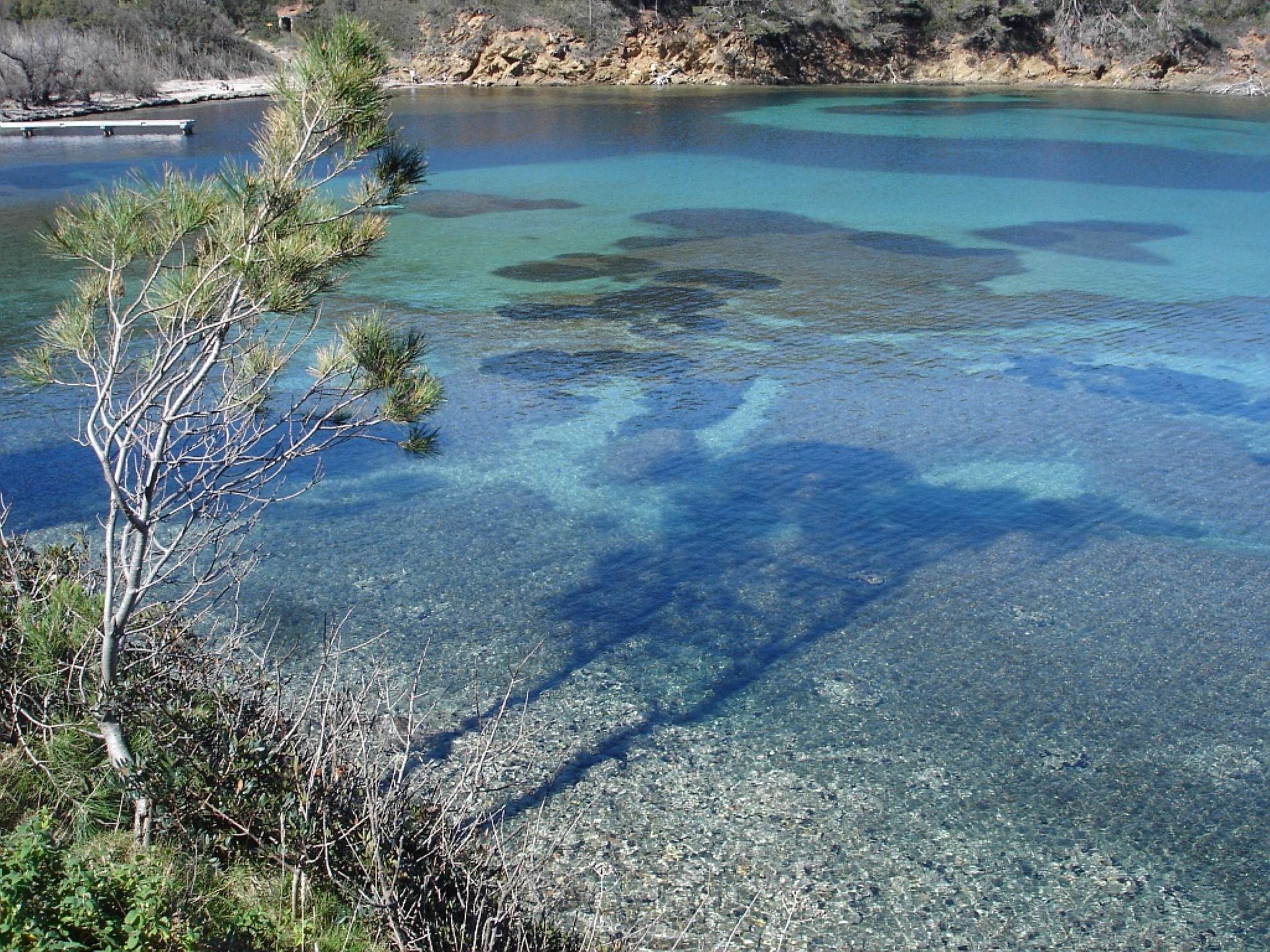 Plage de Port Man - île de Port-Cros - Hyères - Christel Gerardin - Parc National de Port-Cros