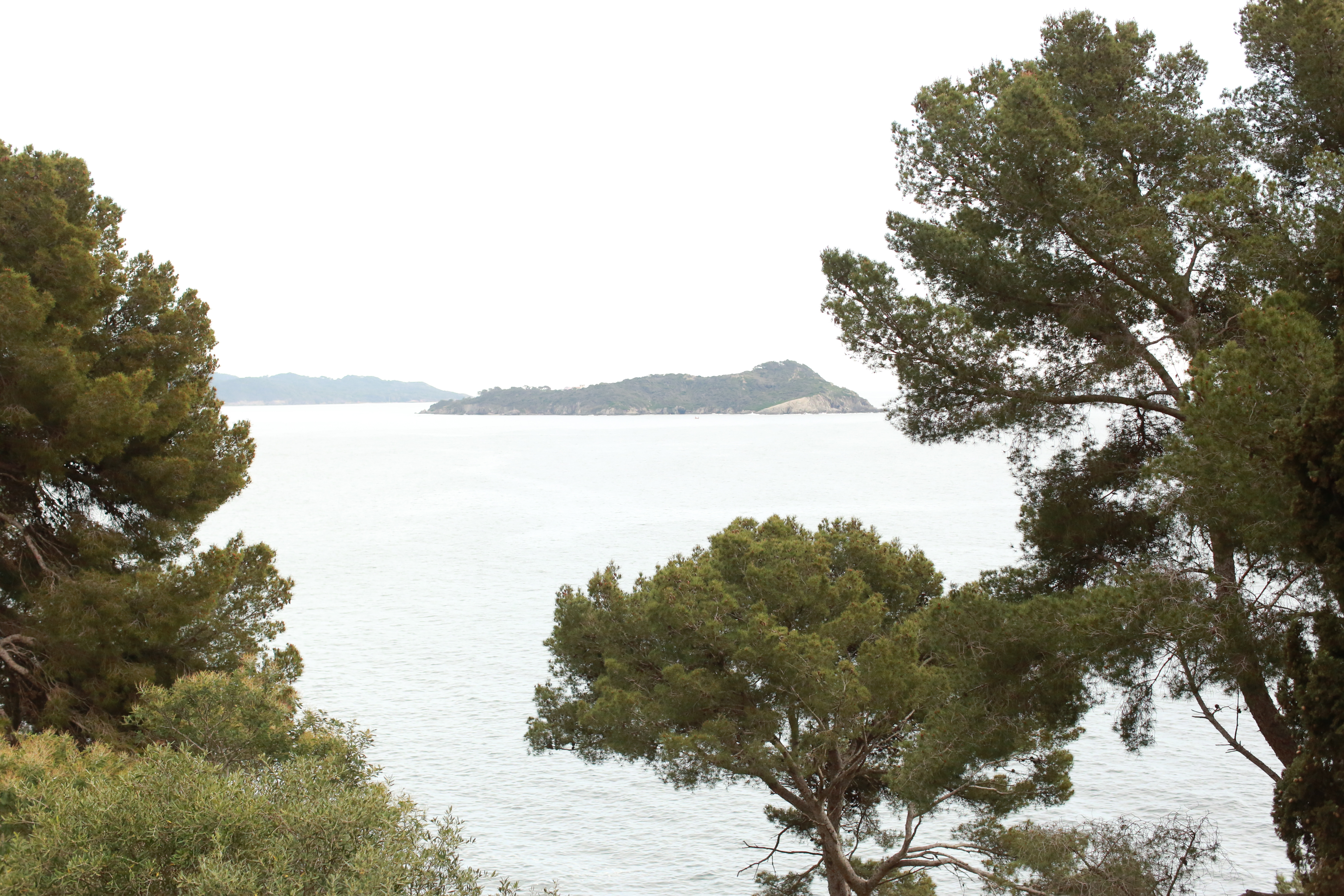 la résidence du provençal à Giens - Julie Liger