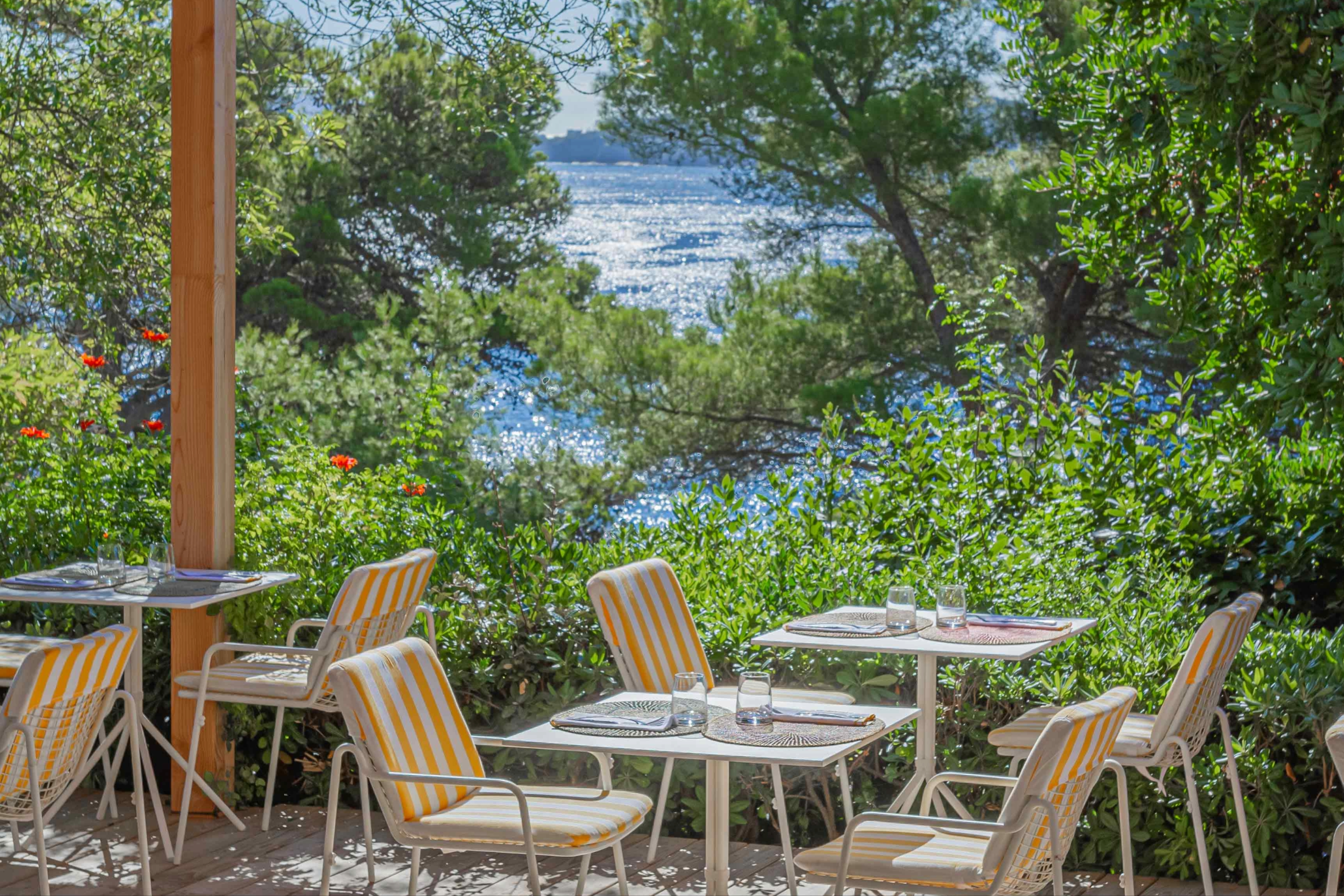 Le Bar du Soleil à Giens, Le provençal - Le Provençal