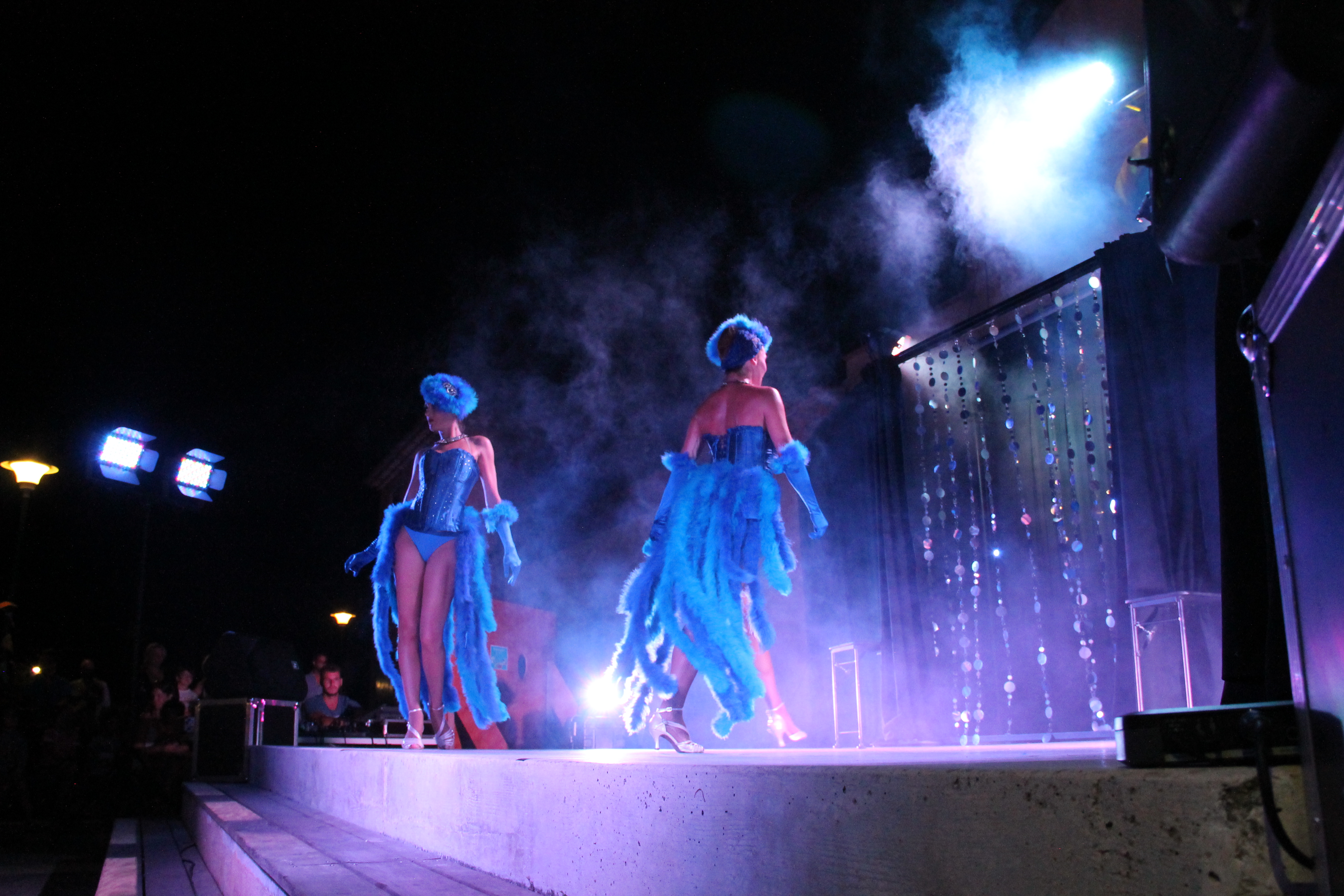 Spectacle - SAS ELC - Camping La Presqu'île de Giens