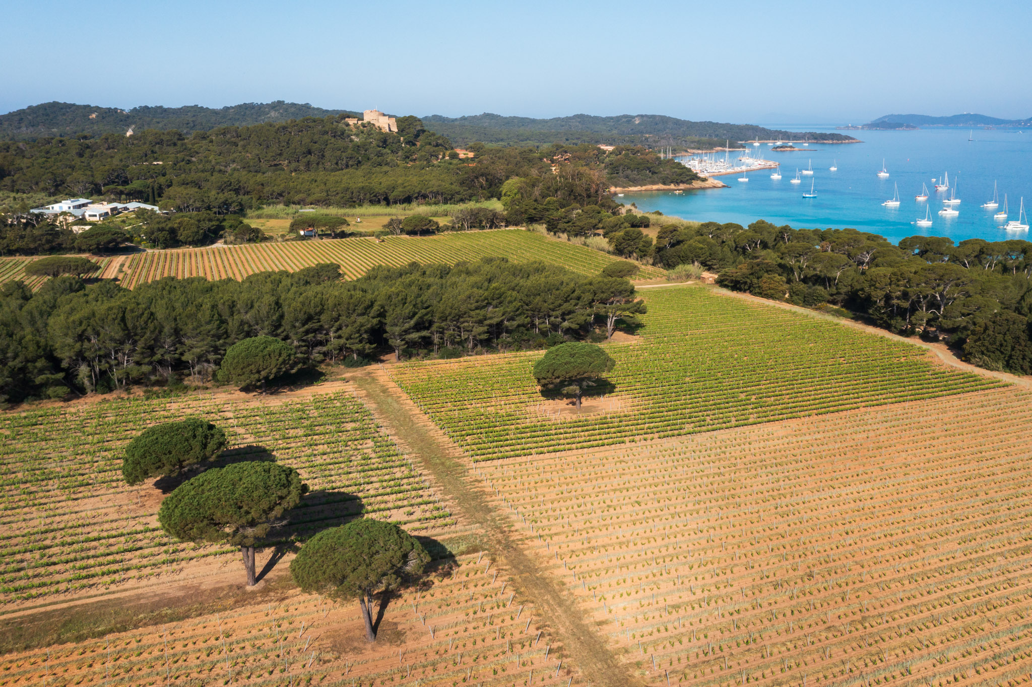 Porquerolles - La Courtade
