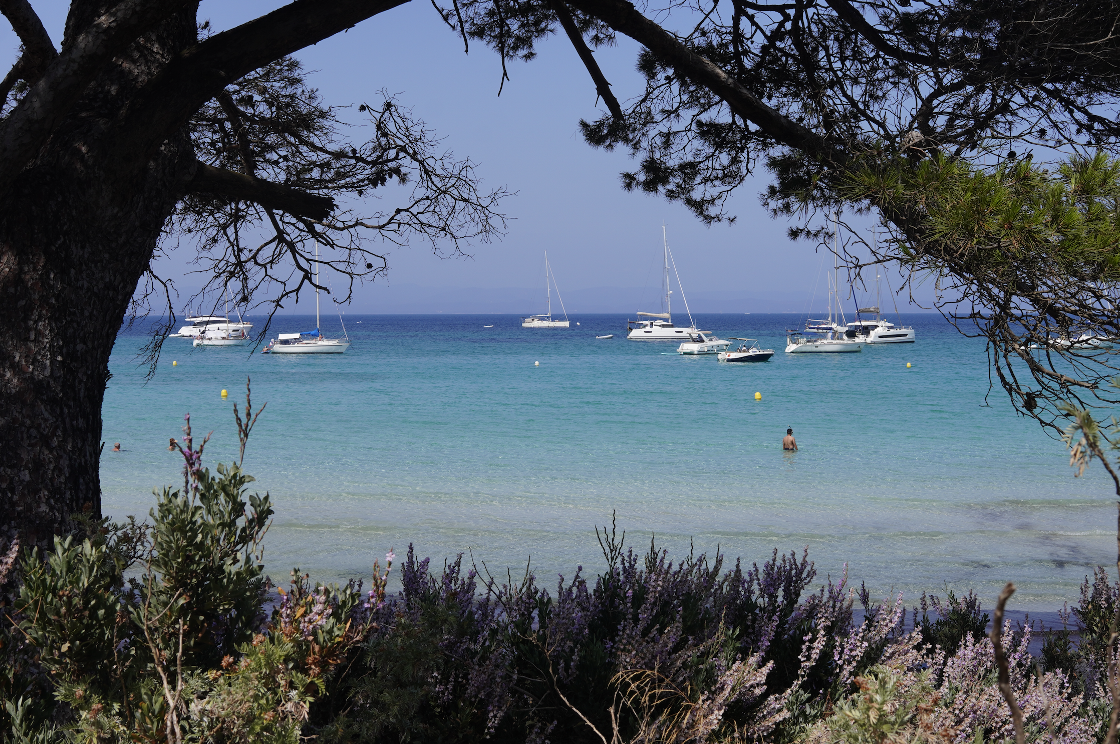 Porquerolles - Julie Navarro