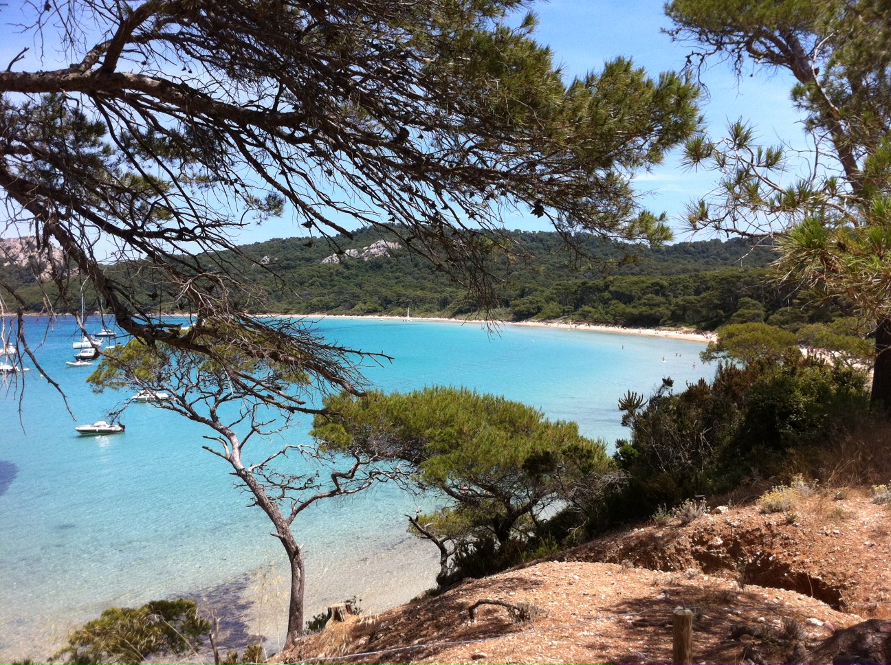 Ile de Porquerolles - Le Mas St Augustin