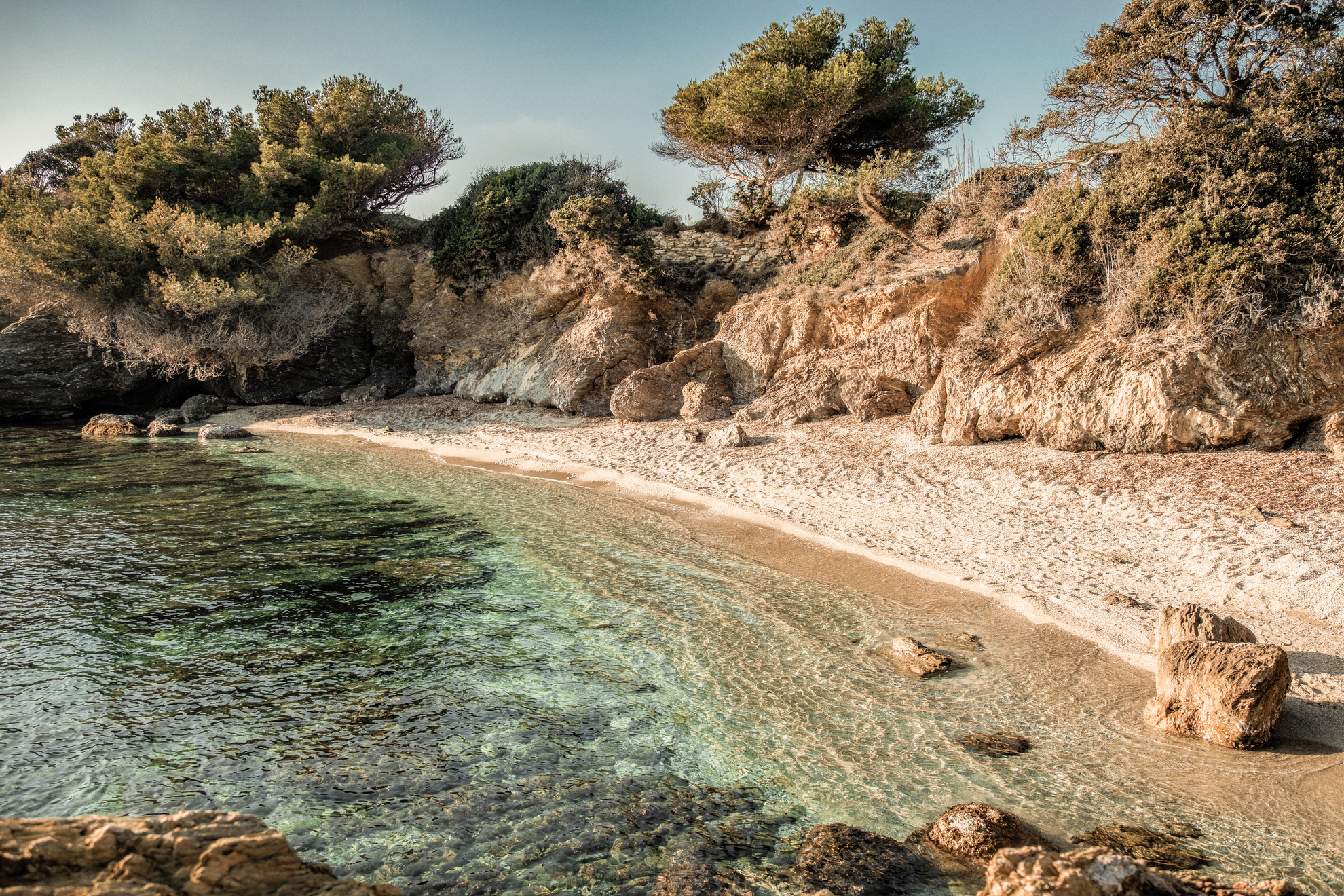 Nature sublime - Société Paul Ricard - Île des Embiez