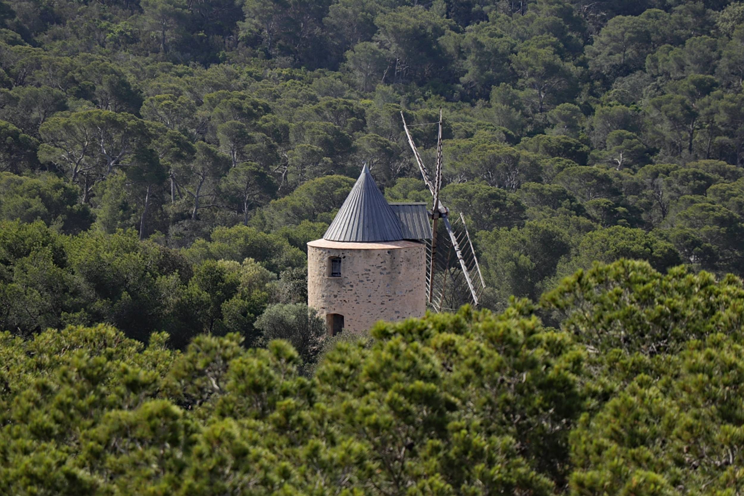 Moulin du Bonheur - ©M.Gasquy-PN-de-Port-Cros