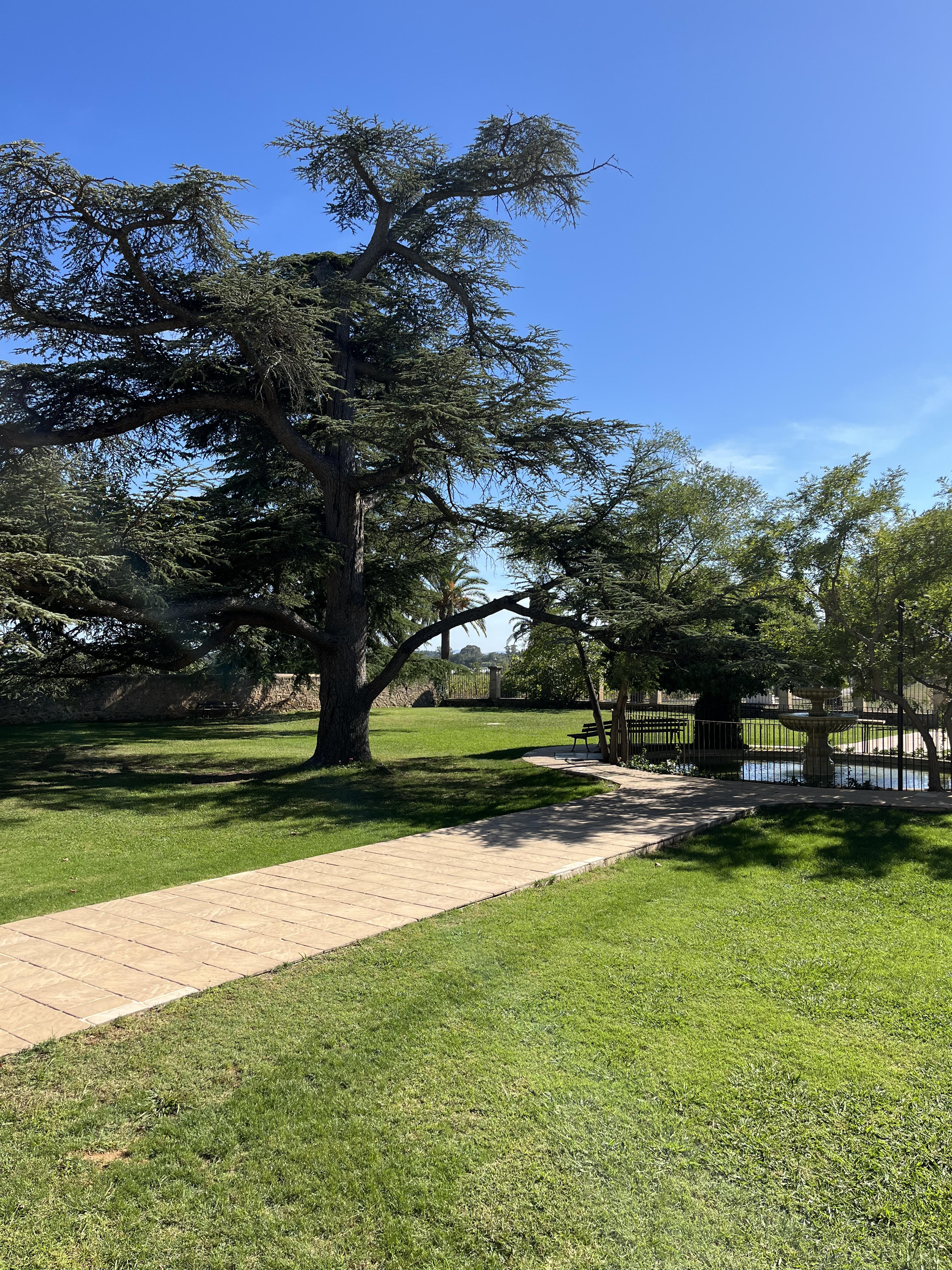 Parc - château des anglades