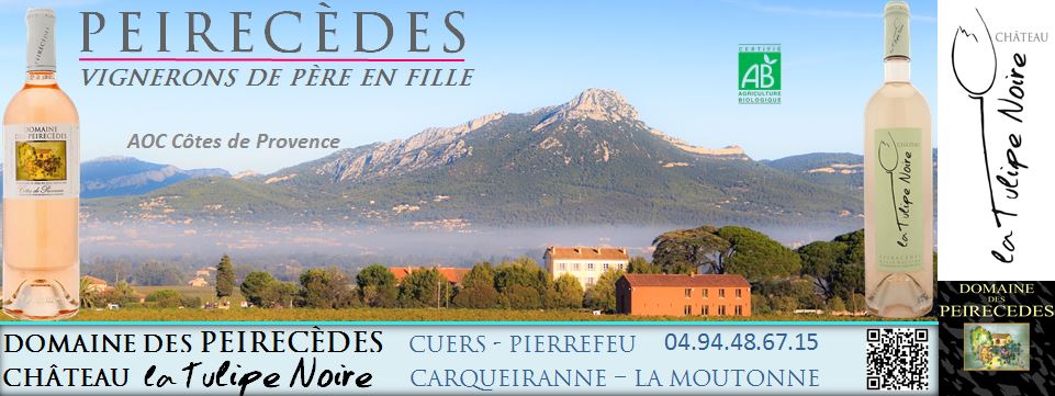 Carte de visite - Château la Tulipe Noire